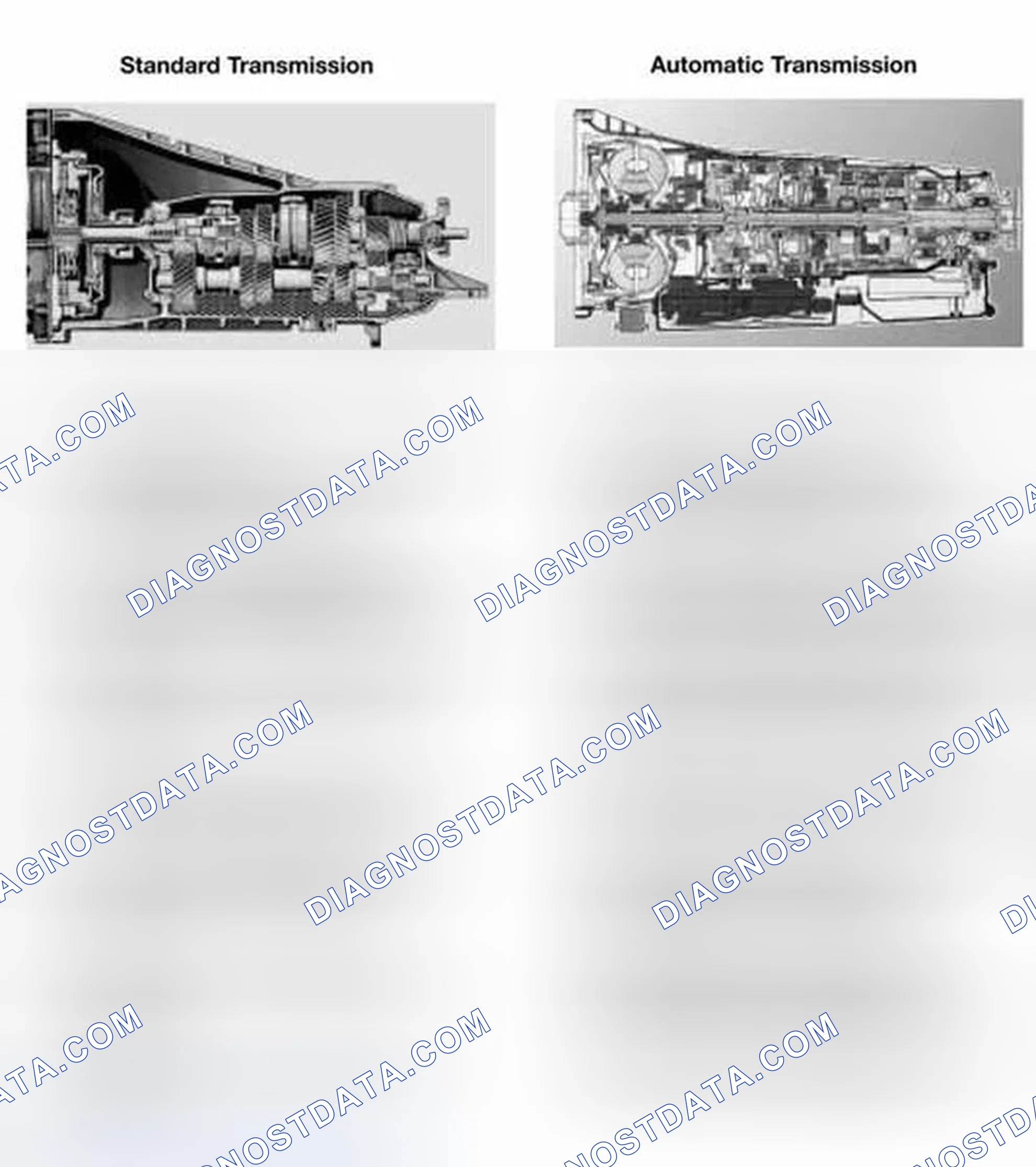 Scheme 6: STANDARD/AUTOMATIC TRANSMISSION