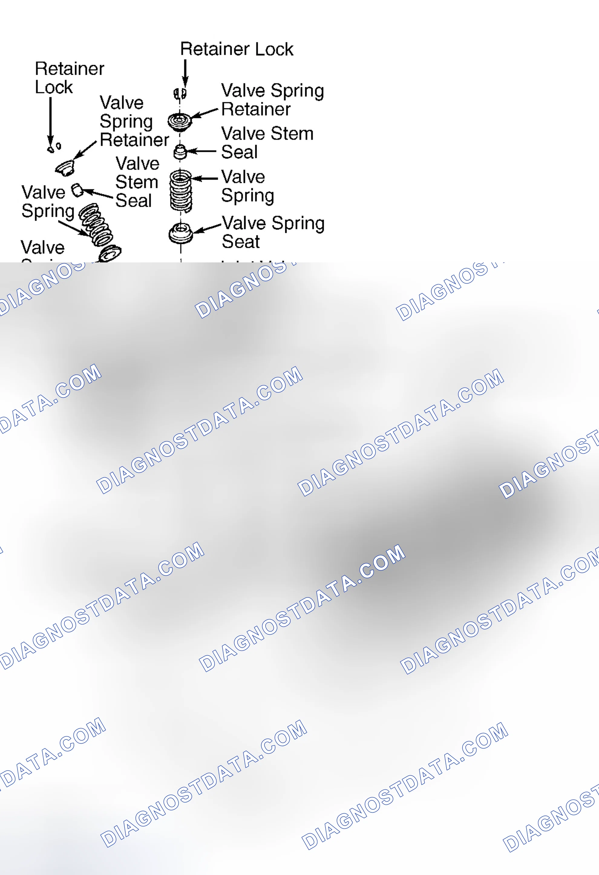 Scheme 28: Valve Springs