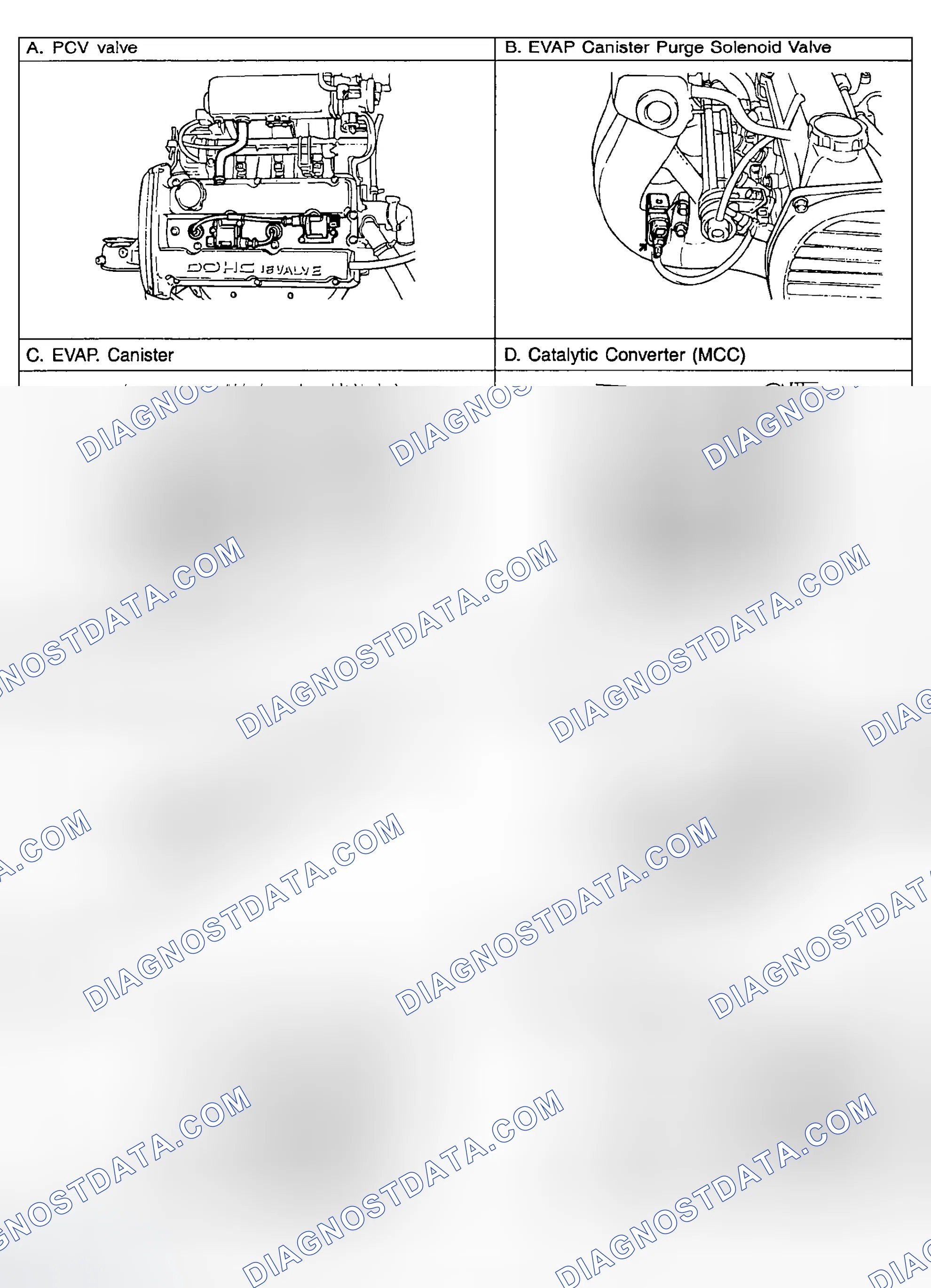 Scheme 5