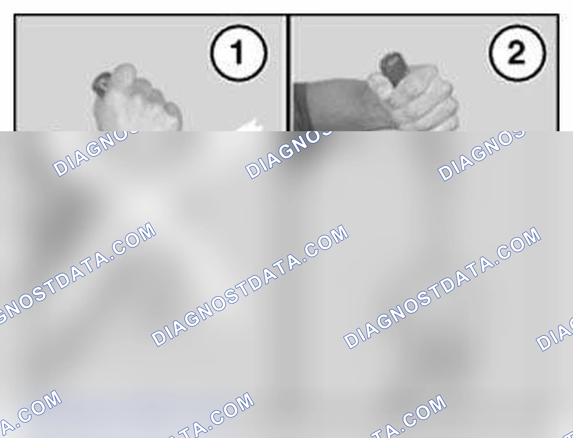 Scheme 52