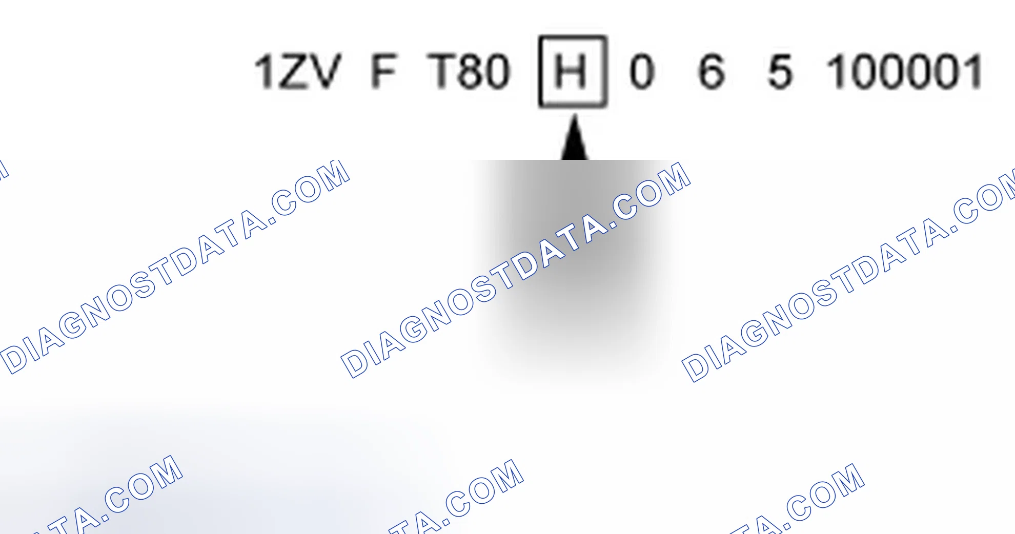 Scheme 6