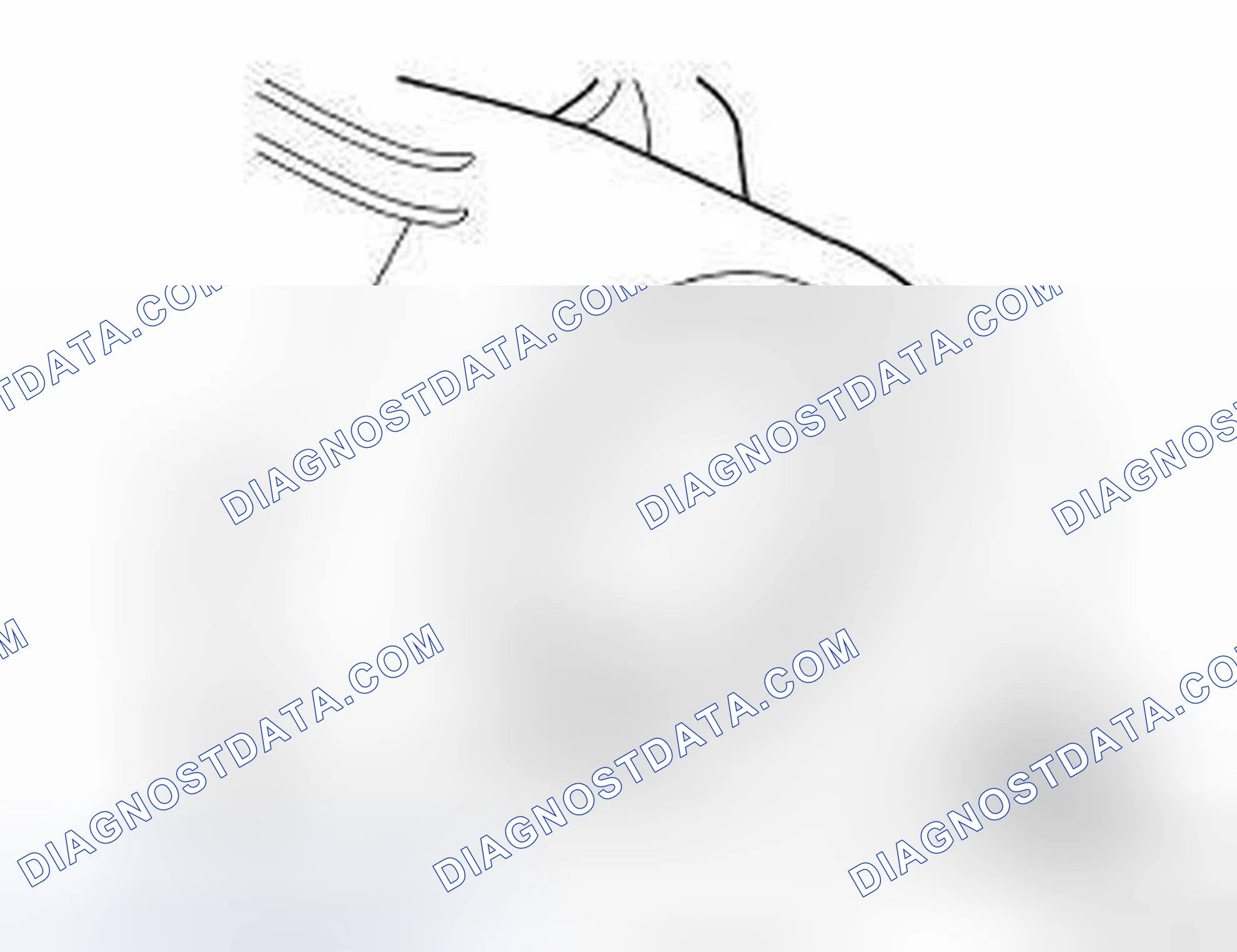 Scheme 31: 2500, 3500