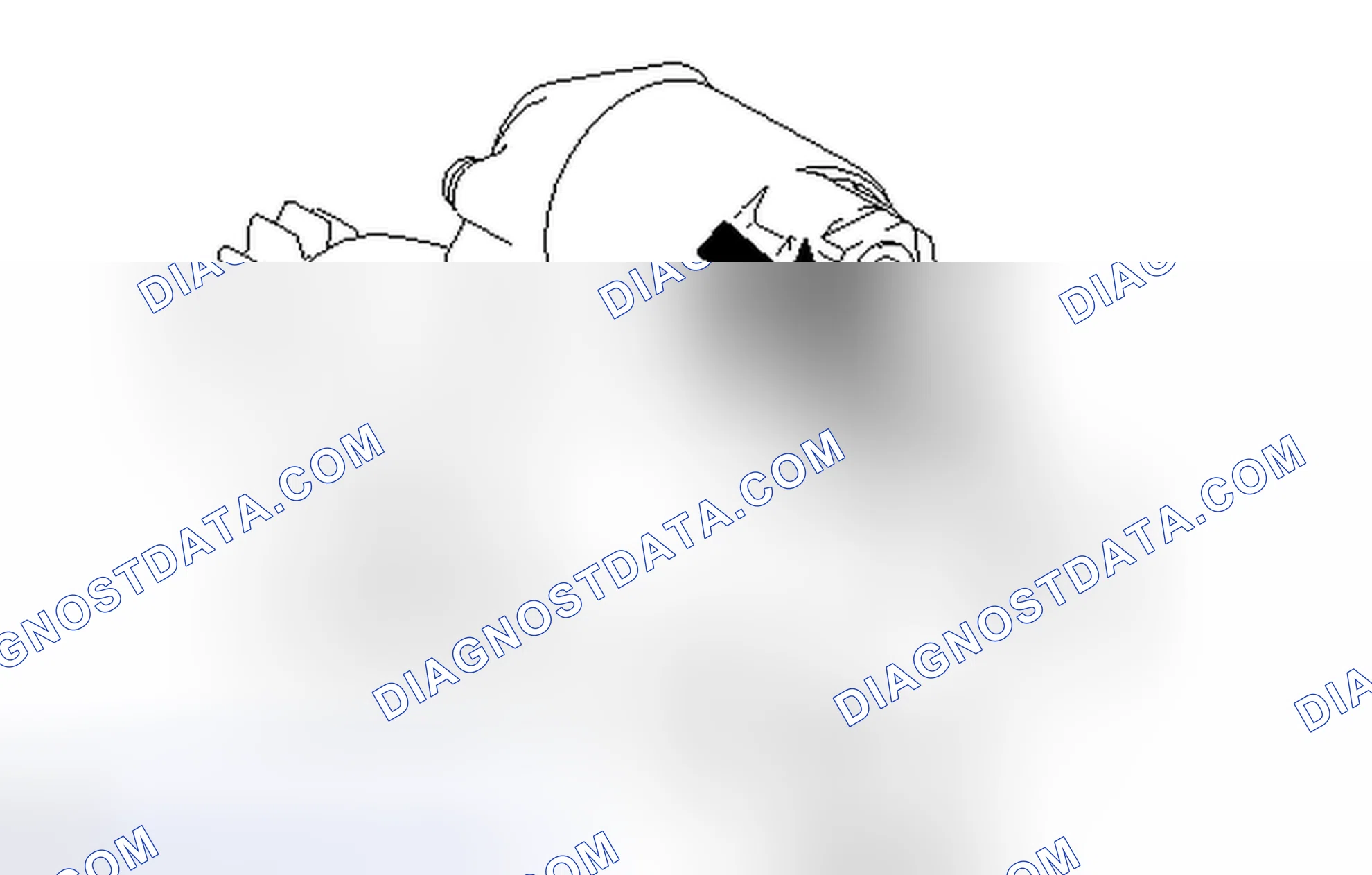 Scheme 41: DISASSEMBLY [01/2014 - ]