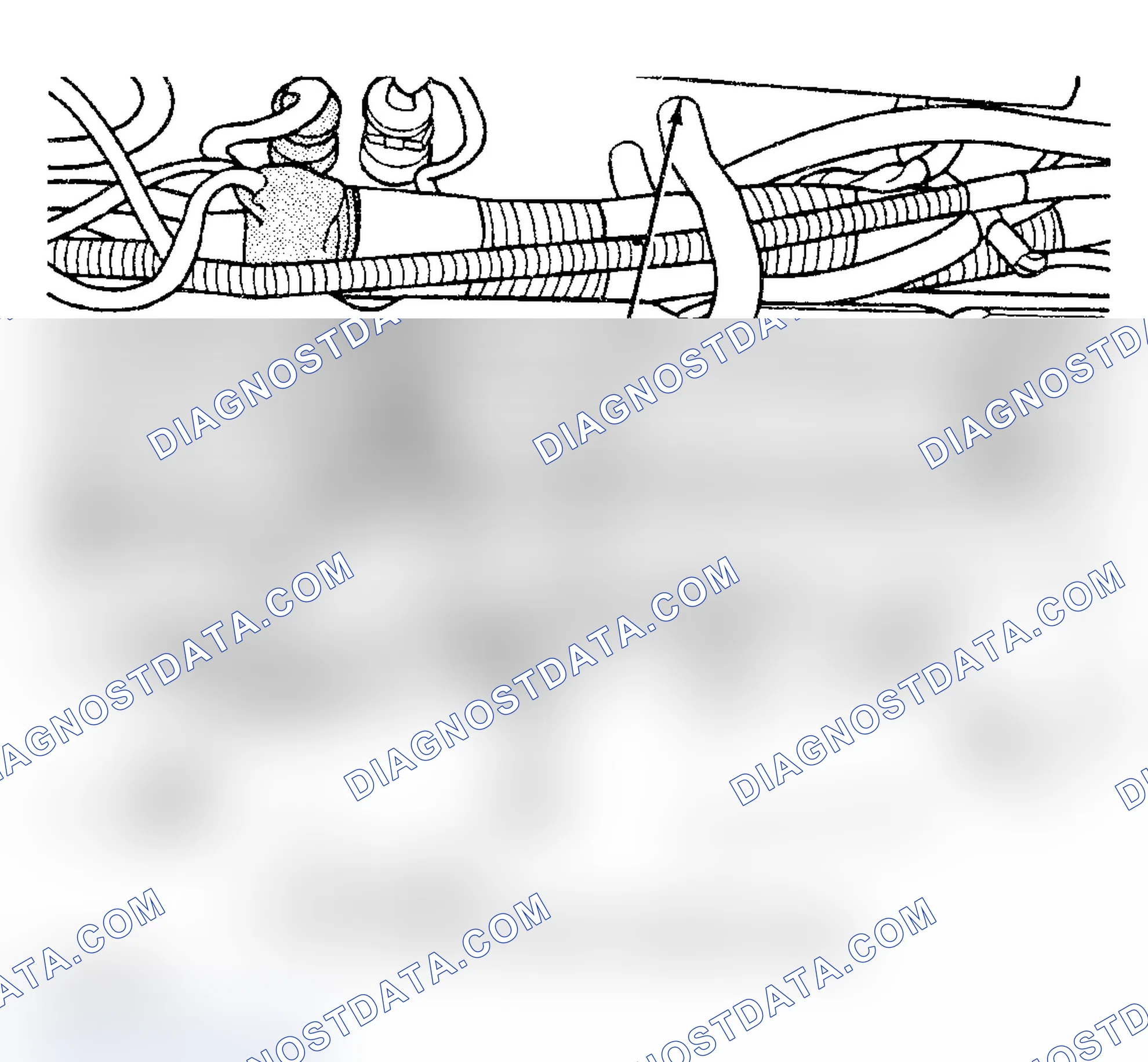 Scheme 1031