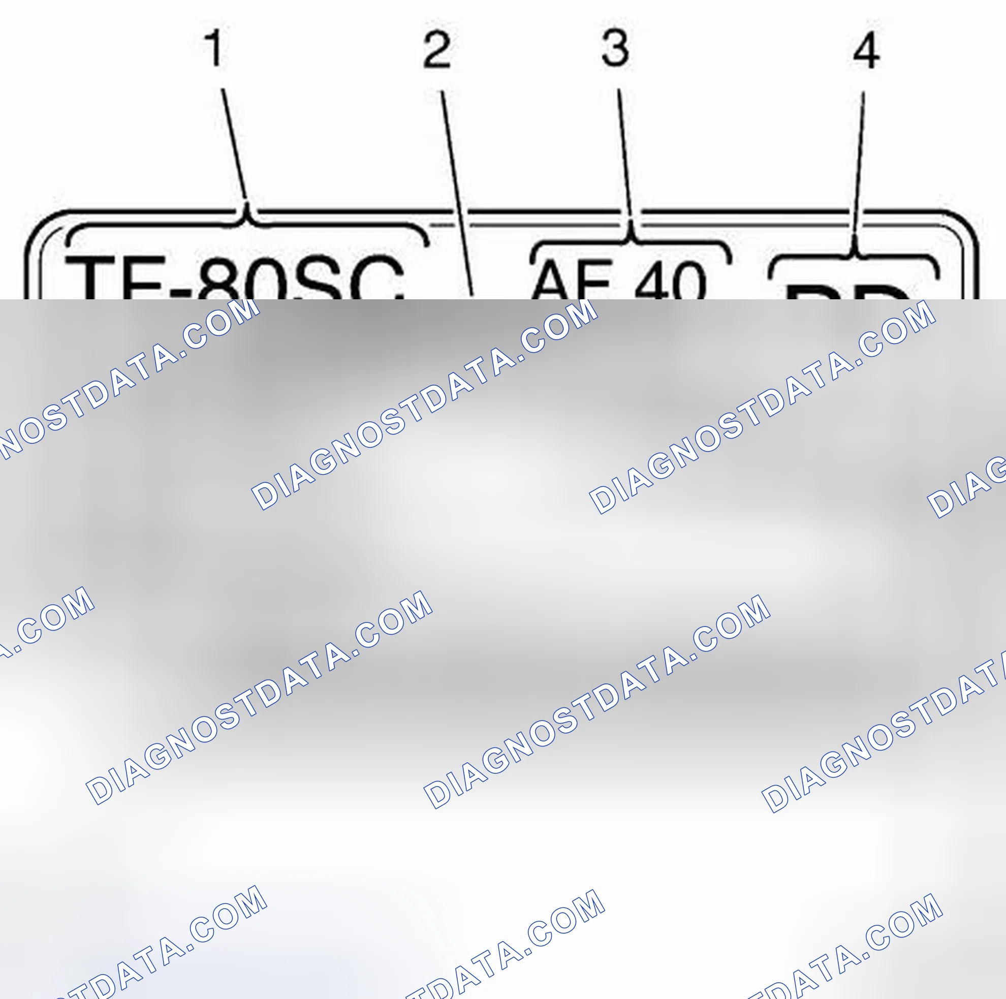 Scheme 38: Transmission Identification Information