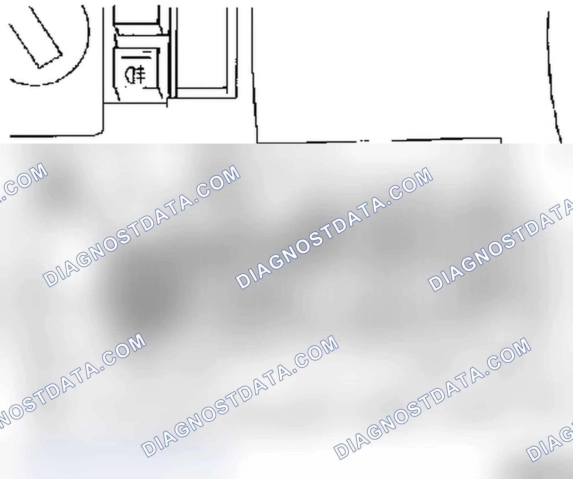 Diagnostic Plug