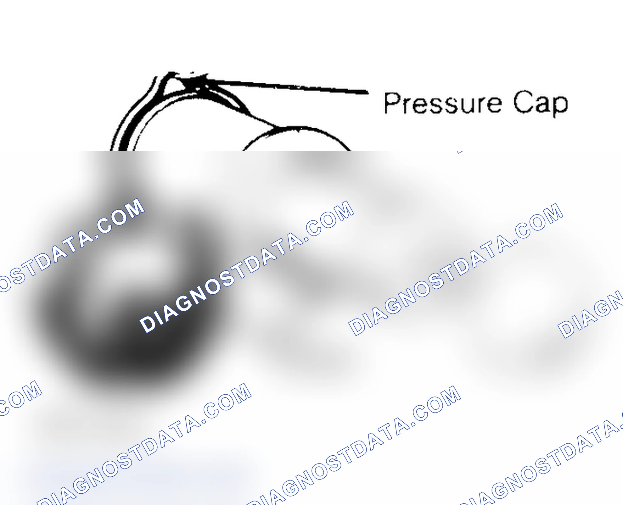 Scheme 2: Pressure Testing Radiator Cap