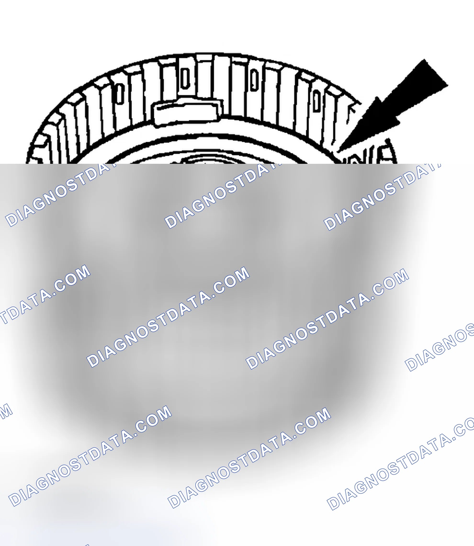 Scheme 519