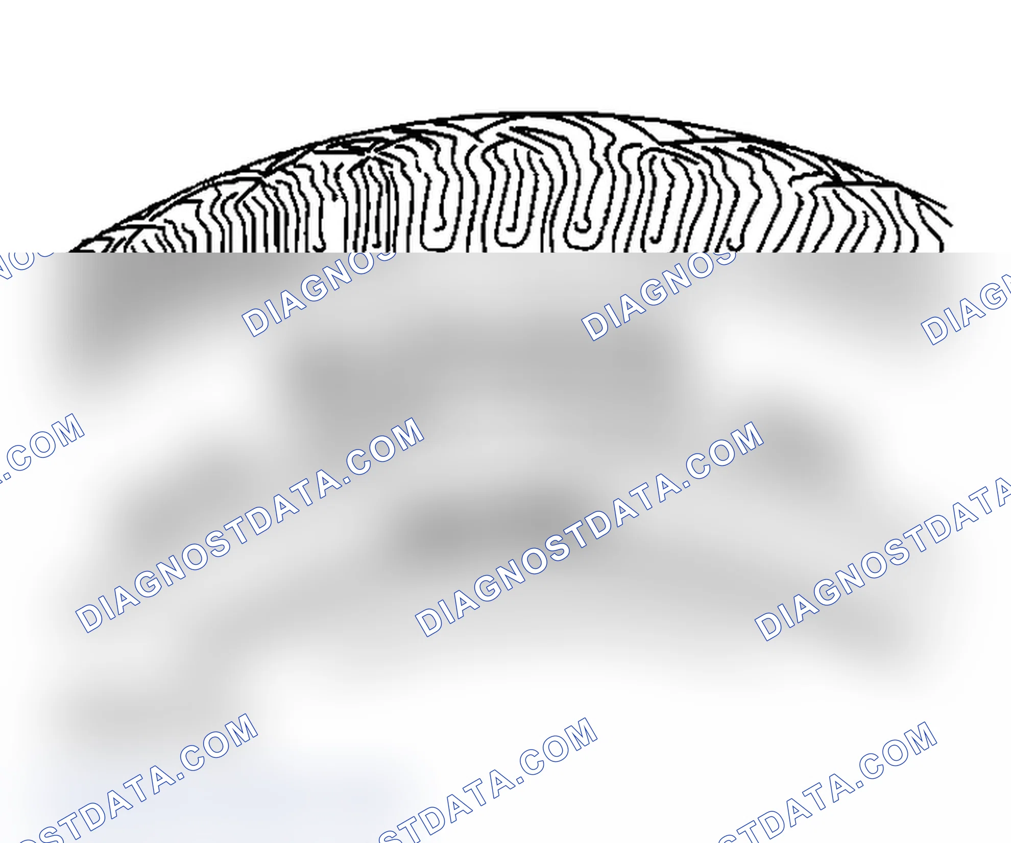 Scheme 20: Tire and Wheel Inspection