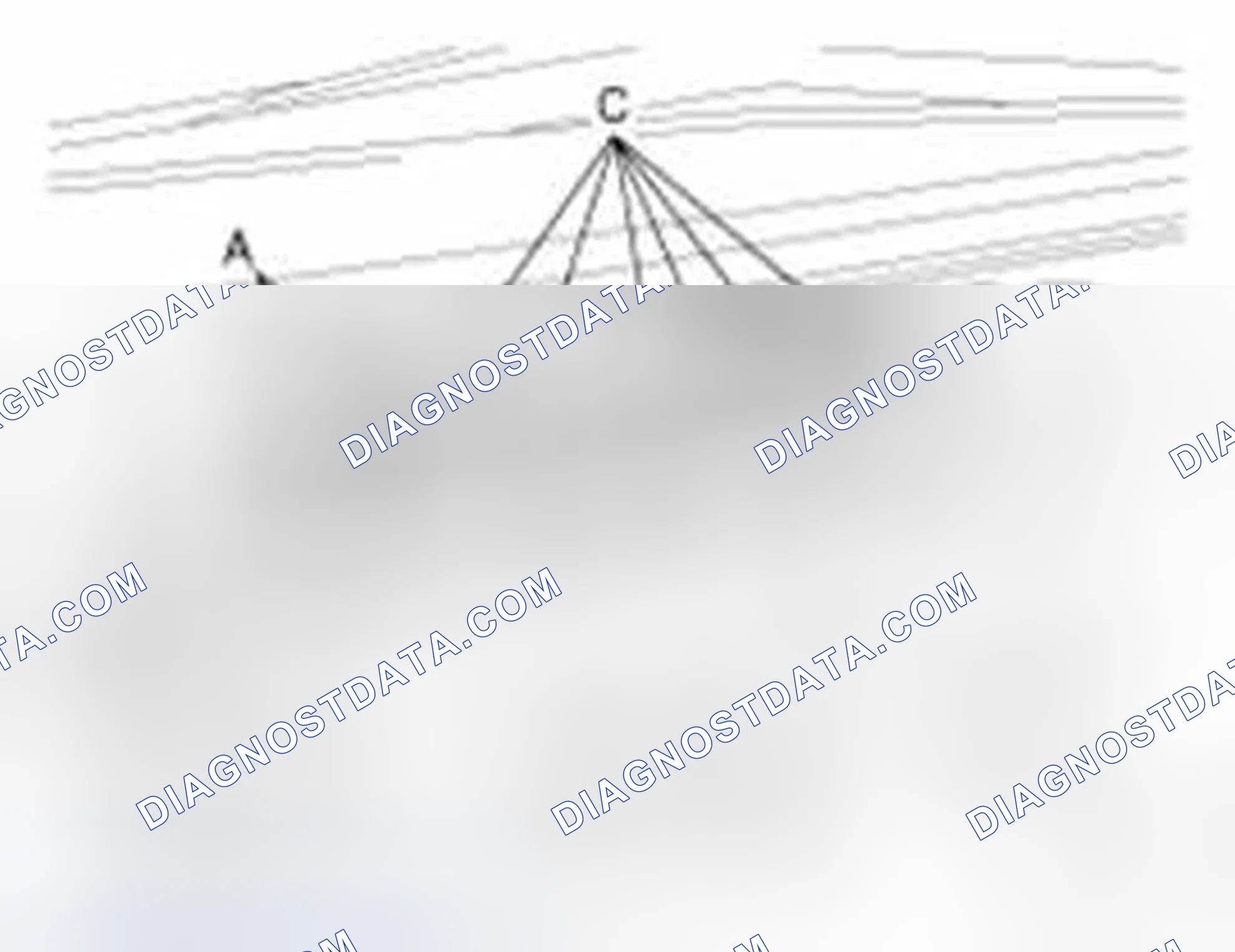 Scheme 4