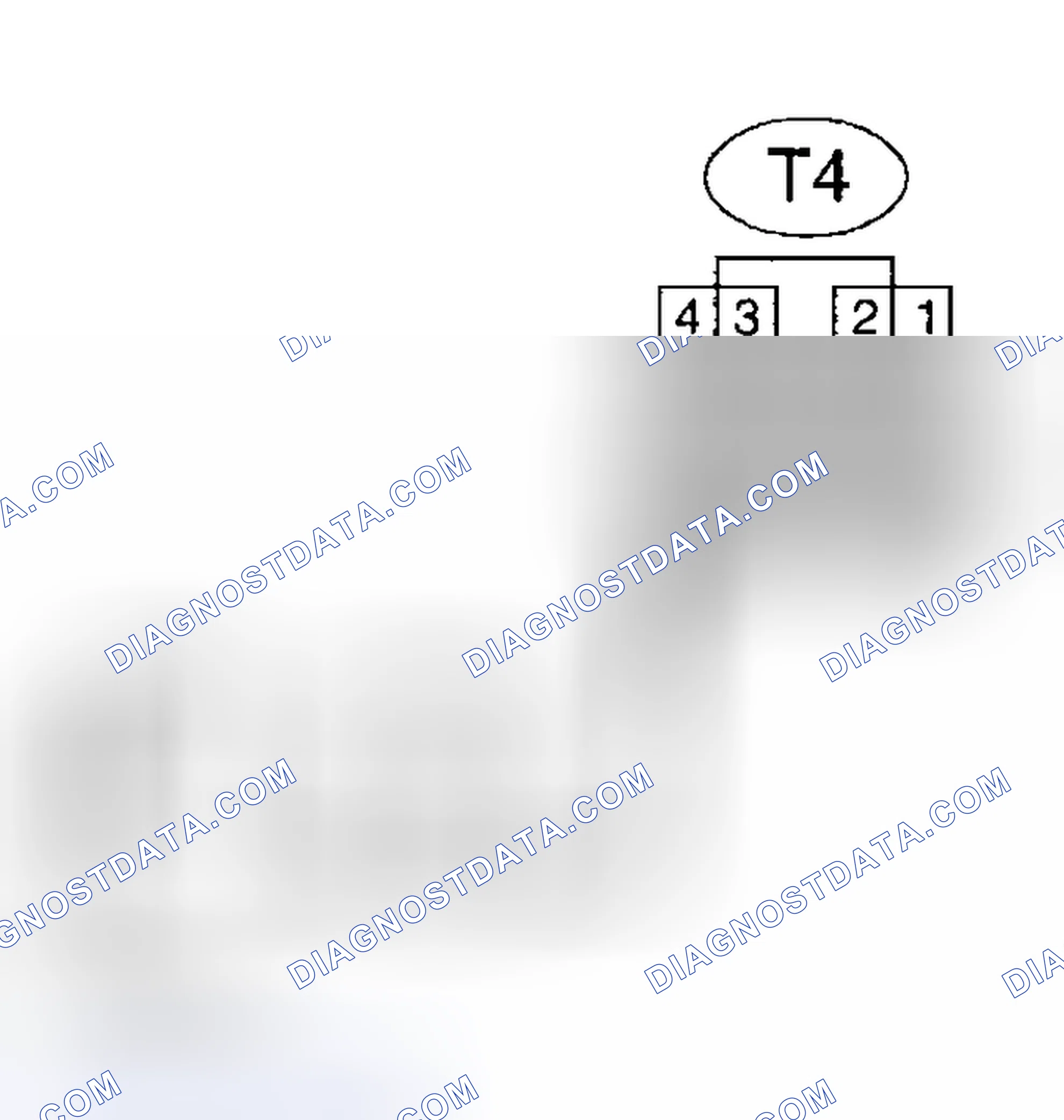 Scheme 491: Diagnostic Procedure