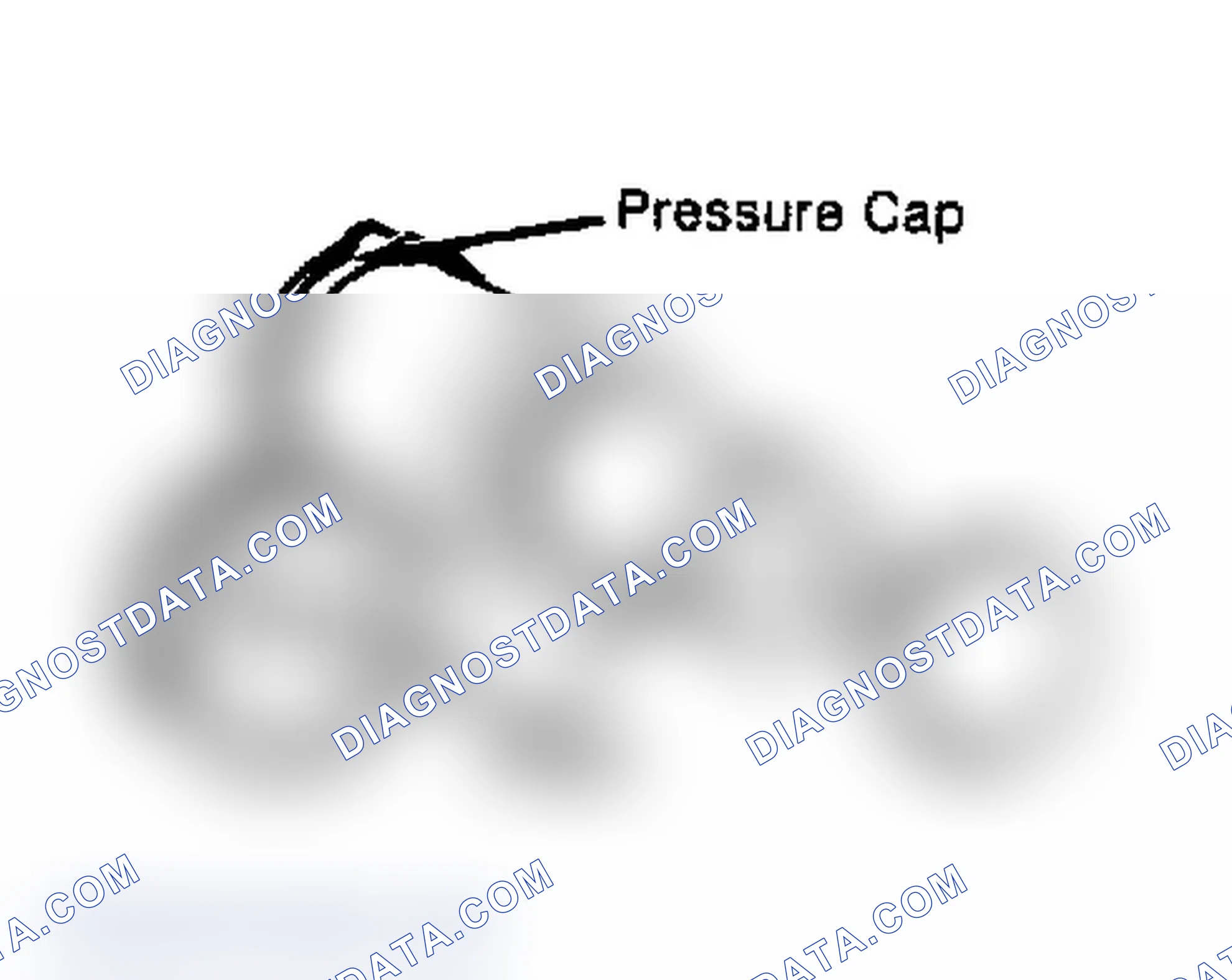 Scheme 2: Testing Radiator Pressure Cap Wet cap gasket before testing.