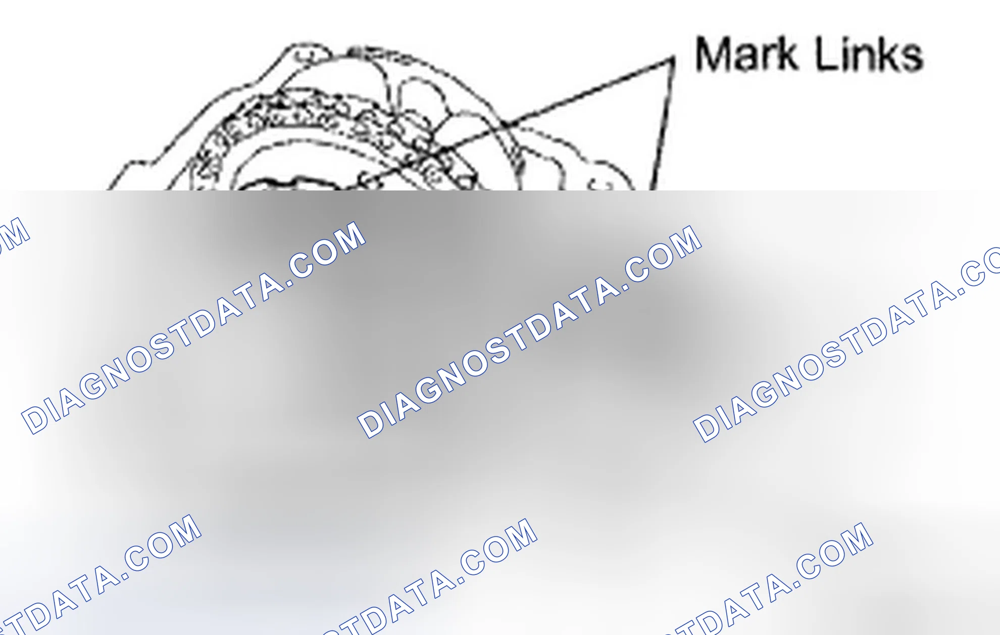 Scheme 495