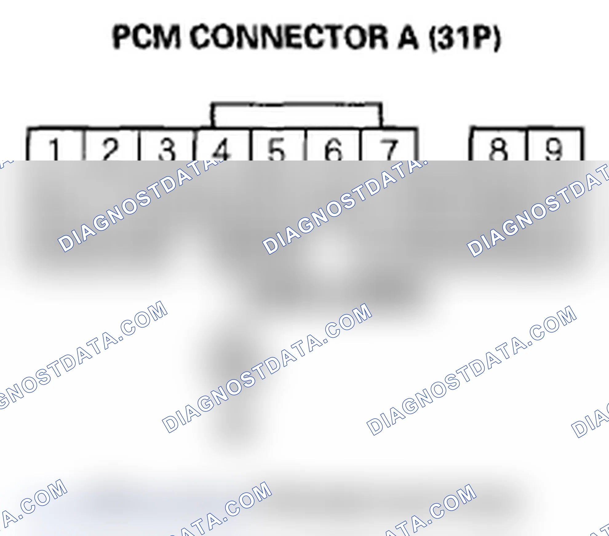 Scheme 316