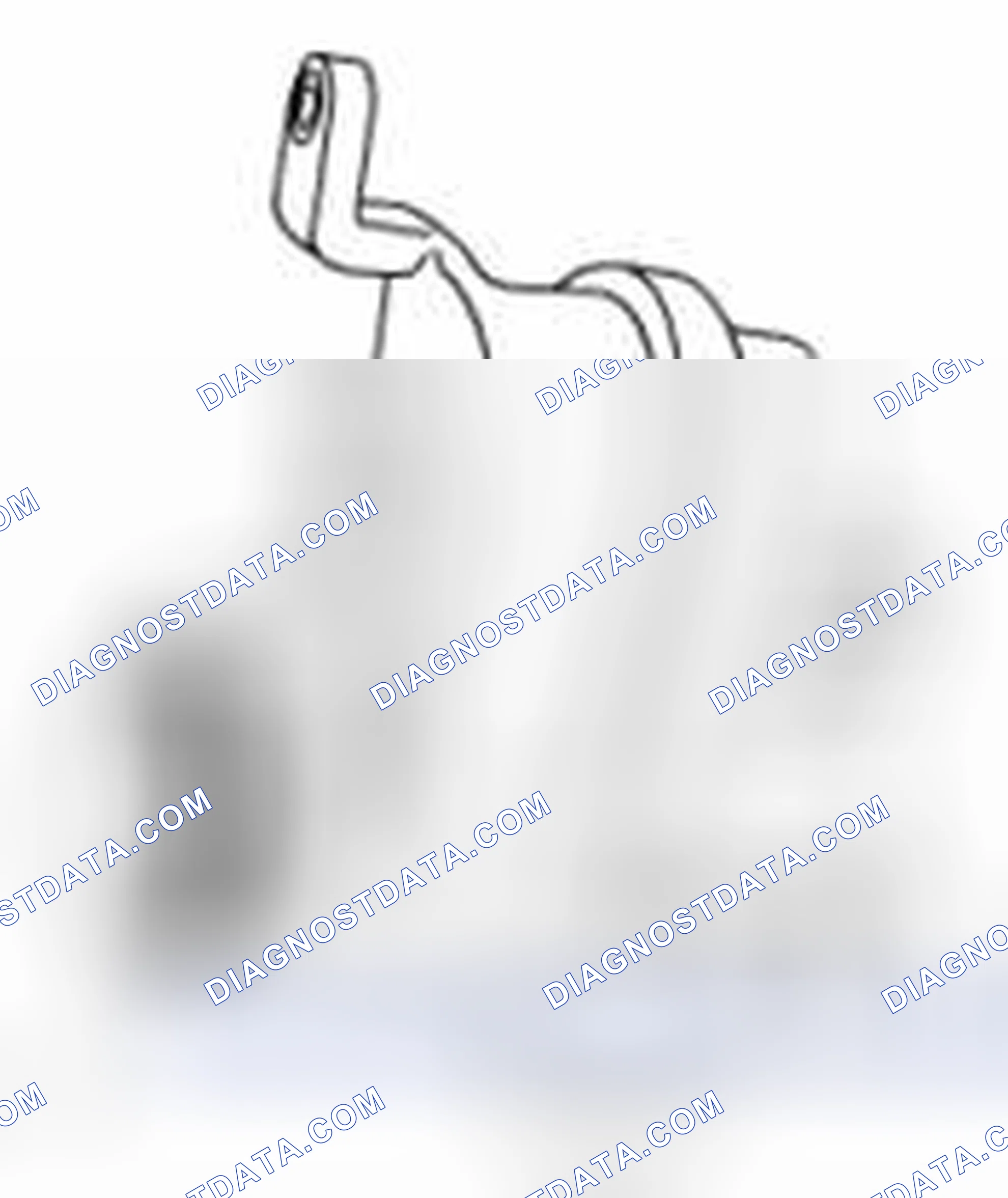 Scheme 53: EVAP Leak Check Module Visual Check