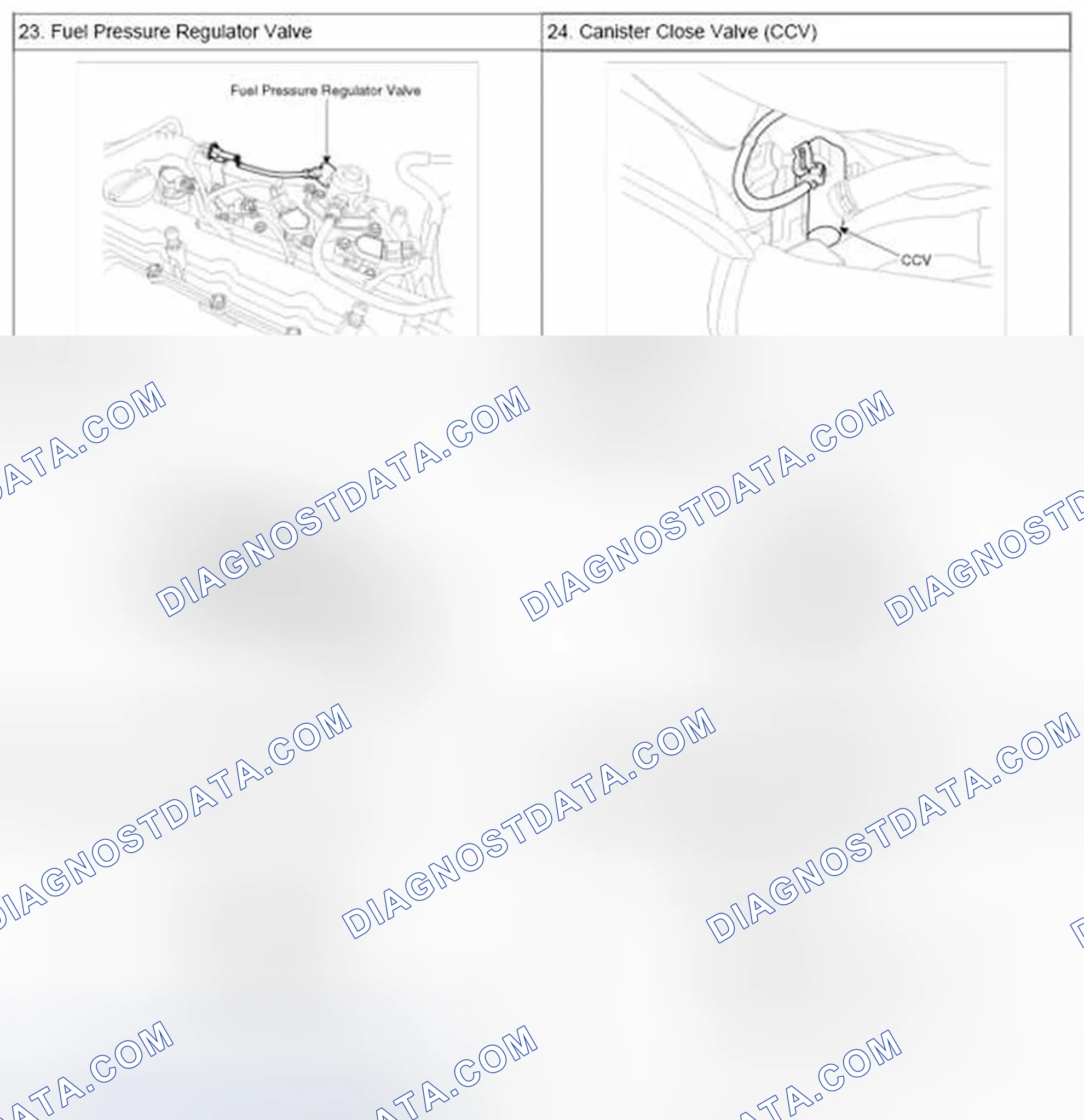 Scheme 287