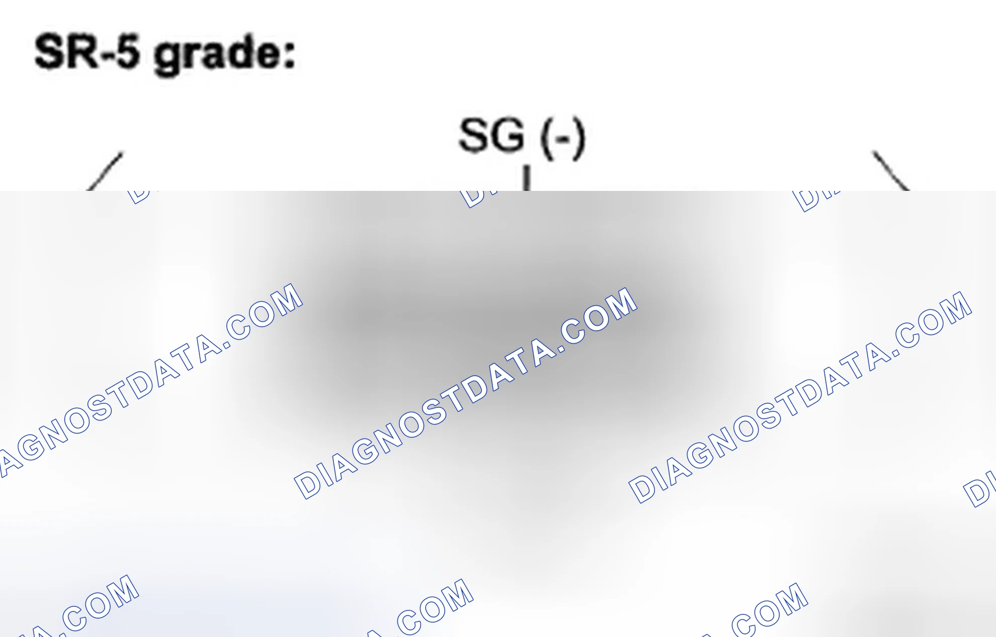 Scheme 26: INSPECTION PROCEDURE