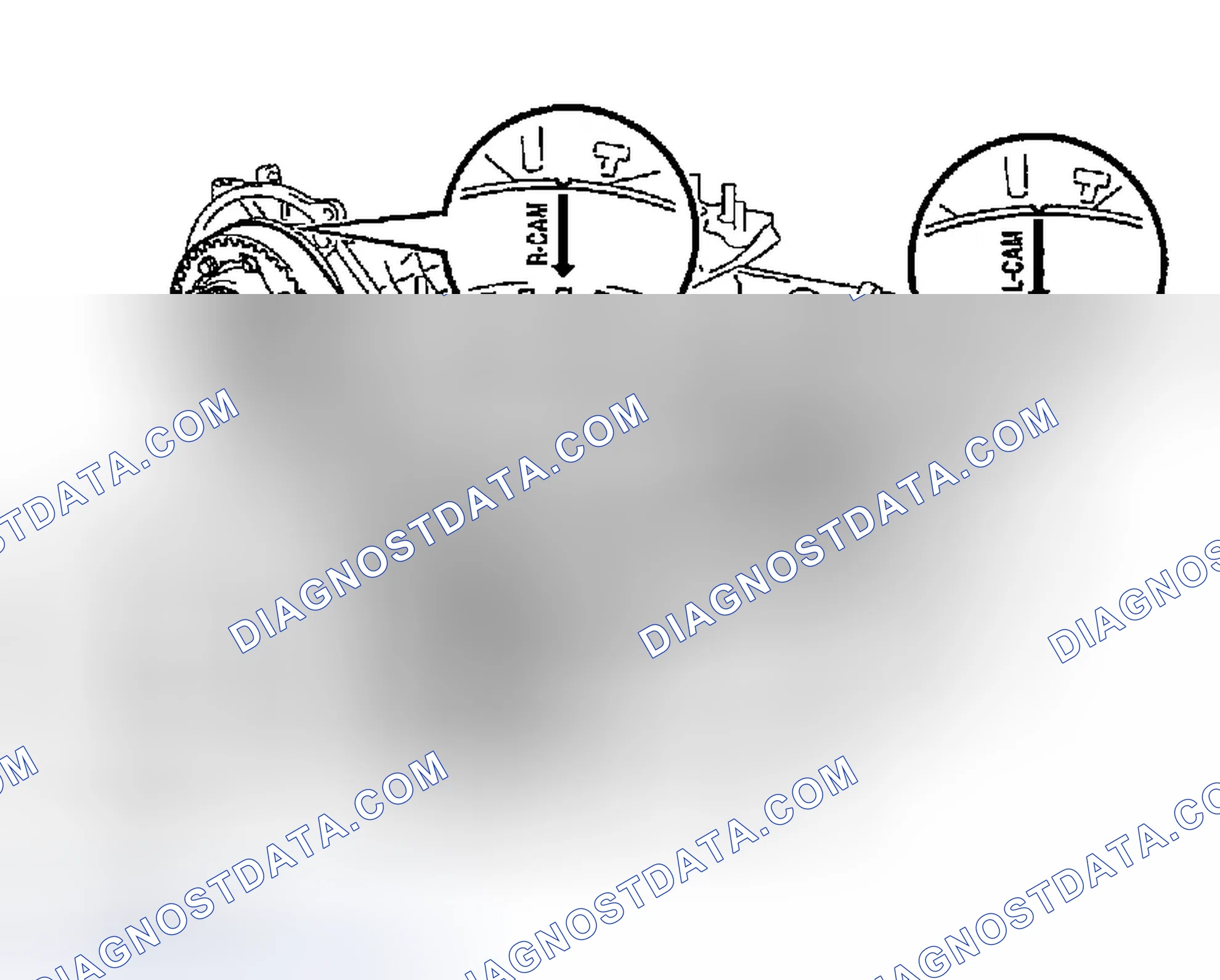 Scheme 379