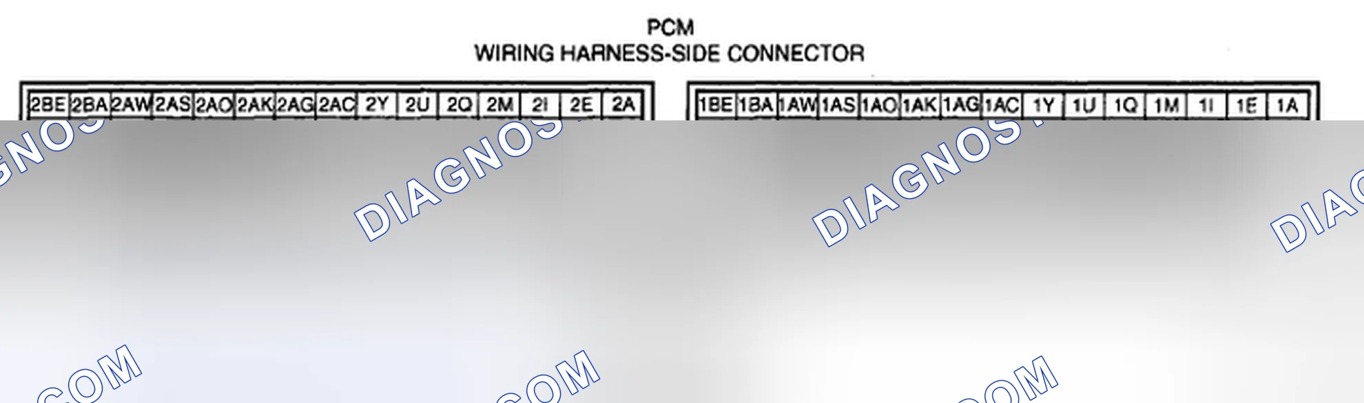 Scheme 161