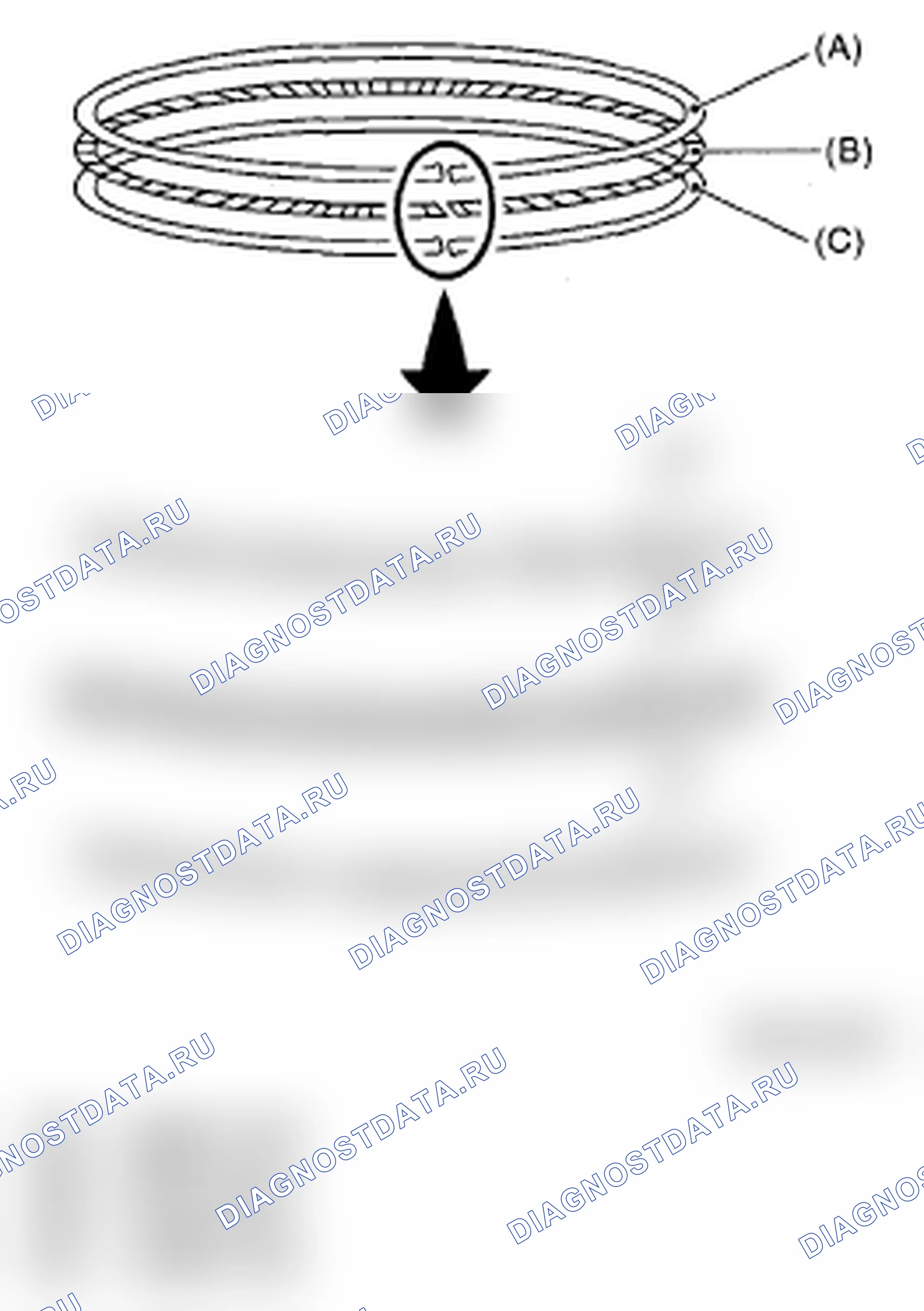 Scheme 457: PISTON RING