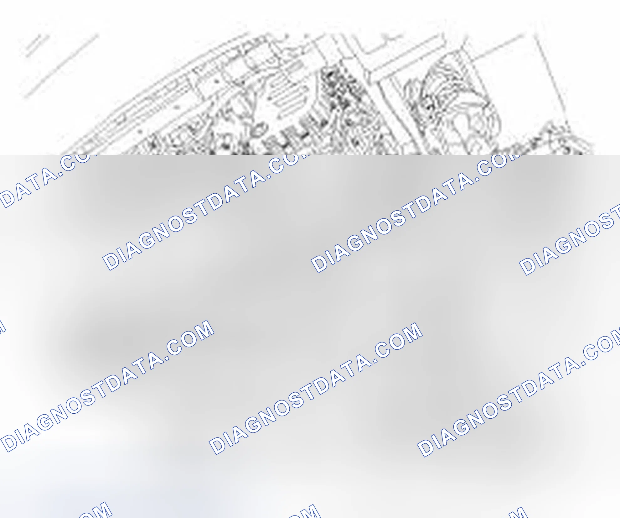 Scheme 288