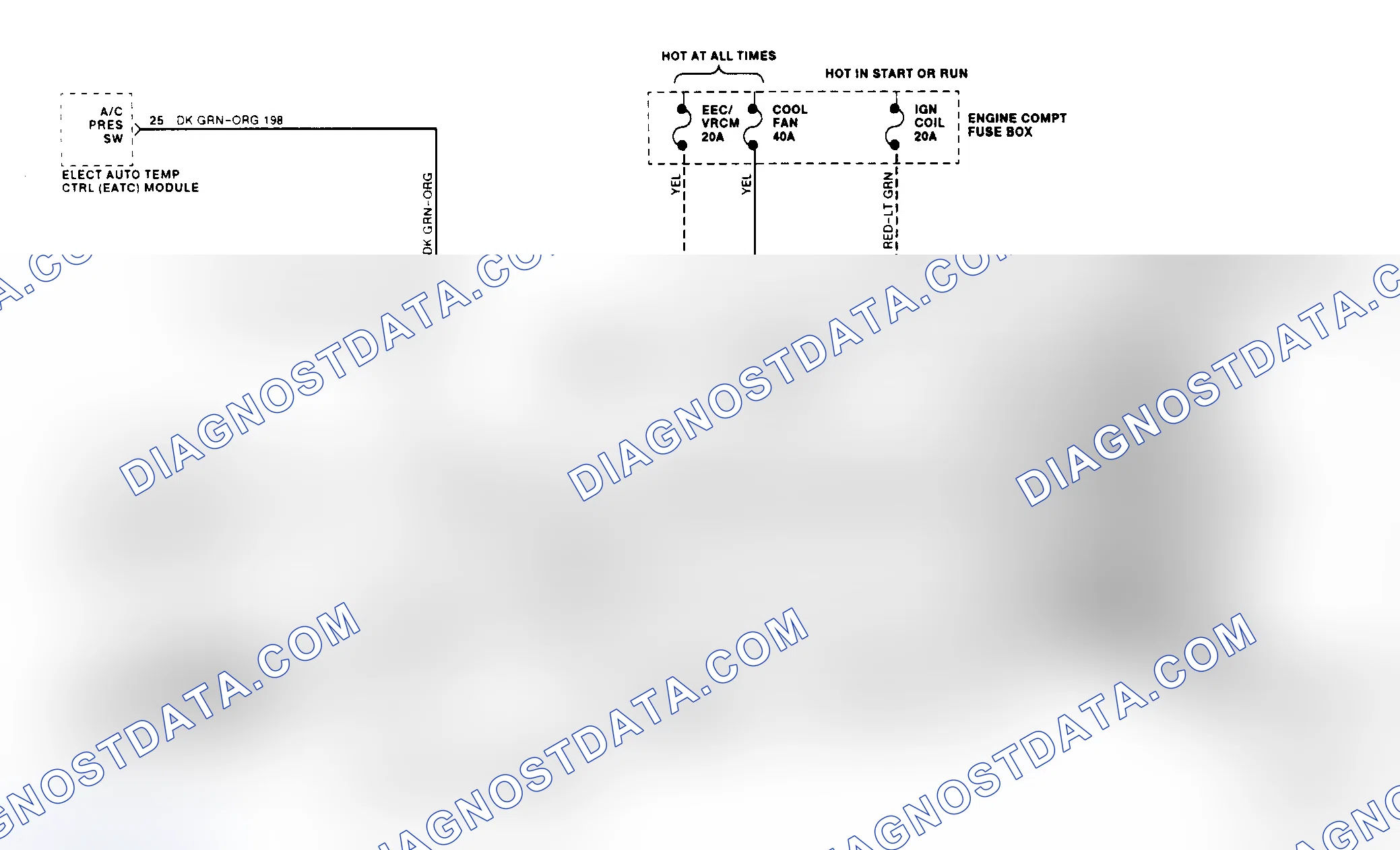 Scheme 5: Electric Cooling Fan Wiring Diagram (Mark VIII 4.6L)