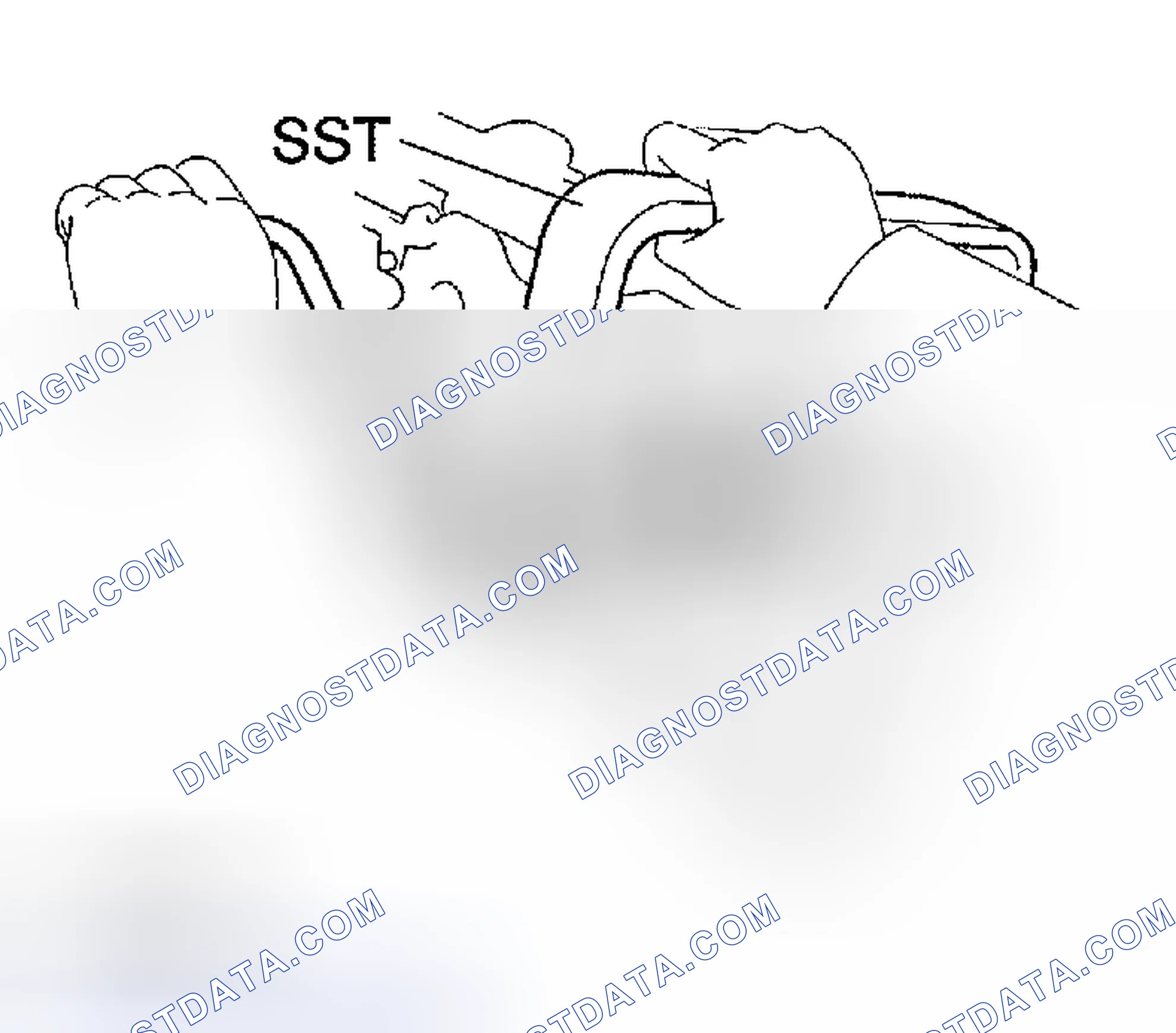Scheme 153