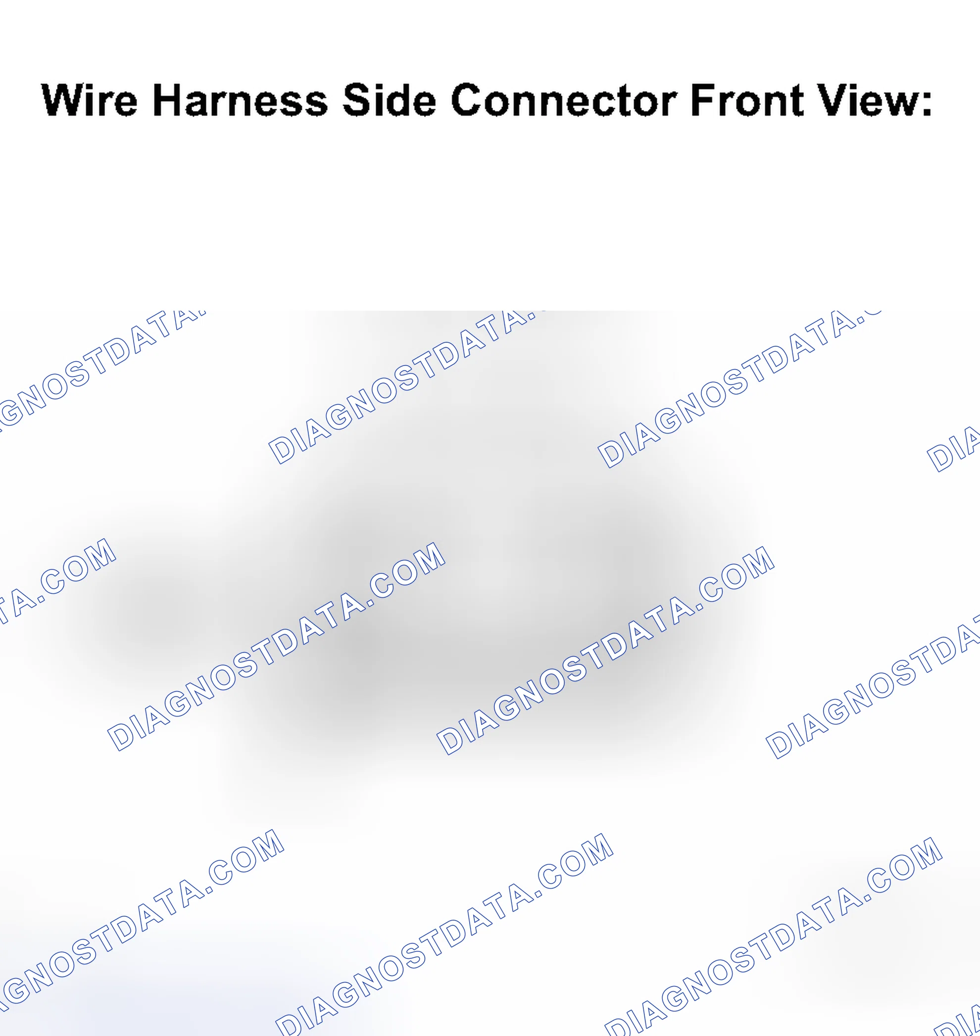 Scheme 204: INSPECTION PROCEDURE