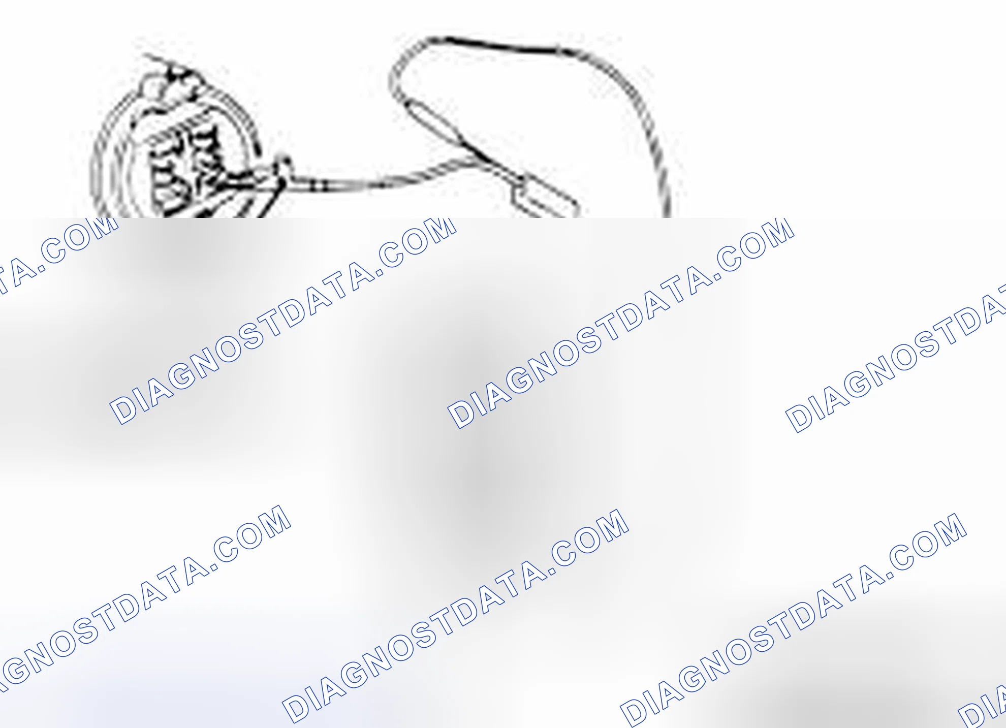 Scheme 20: IF INSPECTING WITH THE CONNECTOR DISCONNECTED