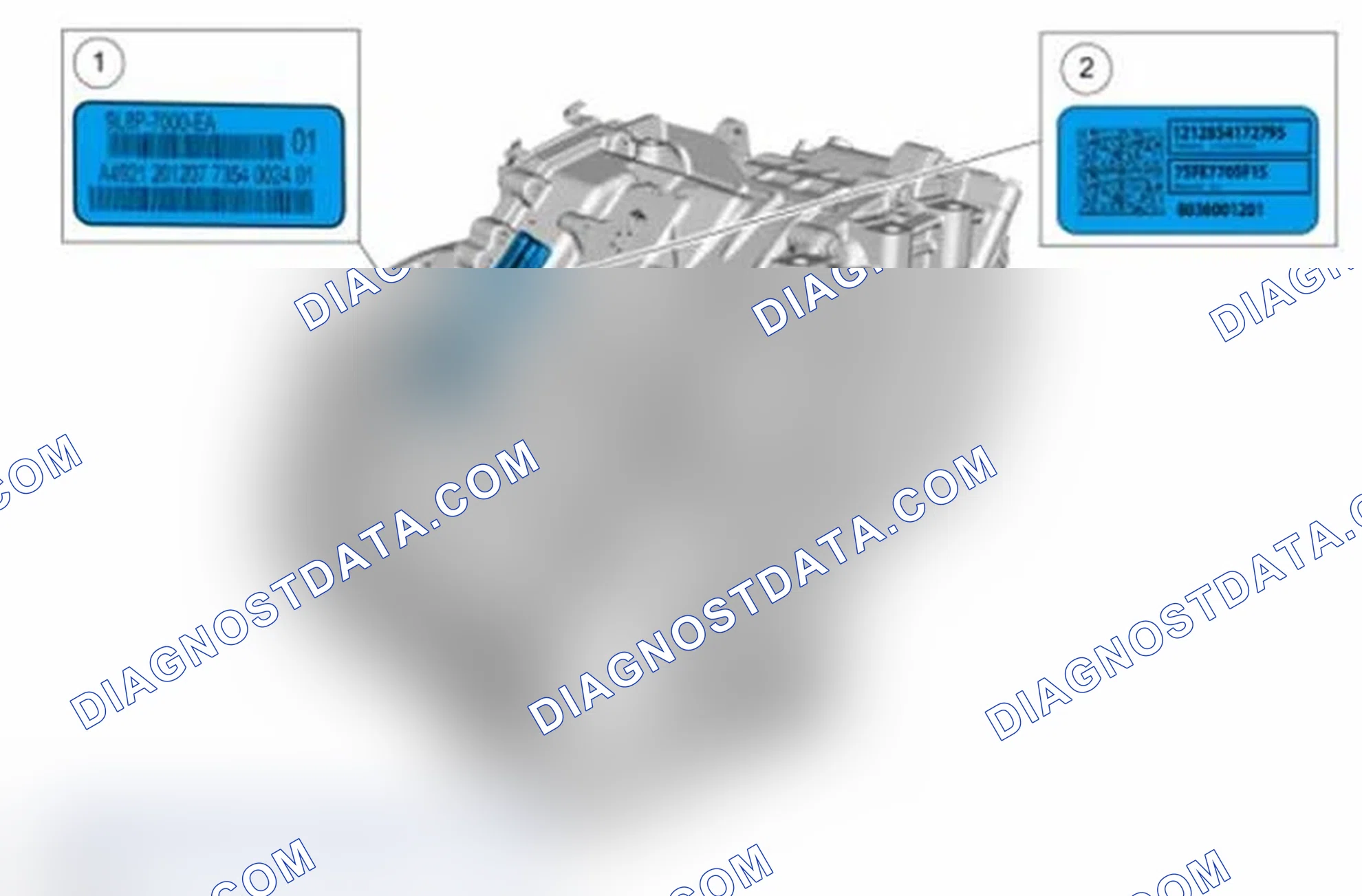 Scheme 2: Identification Tag Location