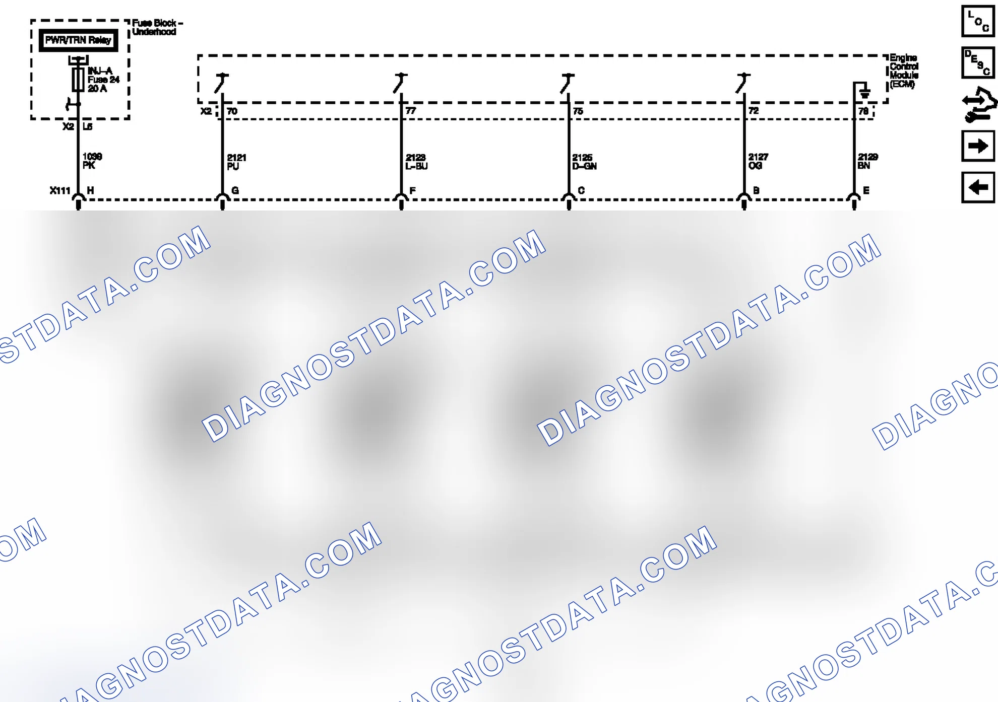 Scheme 80: Ignition Controls- Ignition System Coils 1, 3, 5, and 7