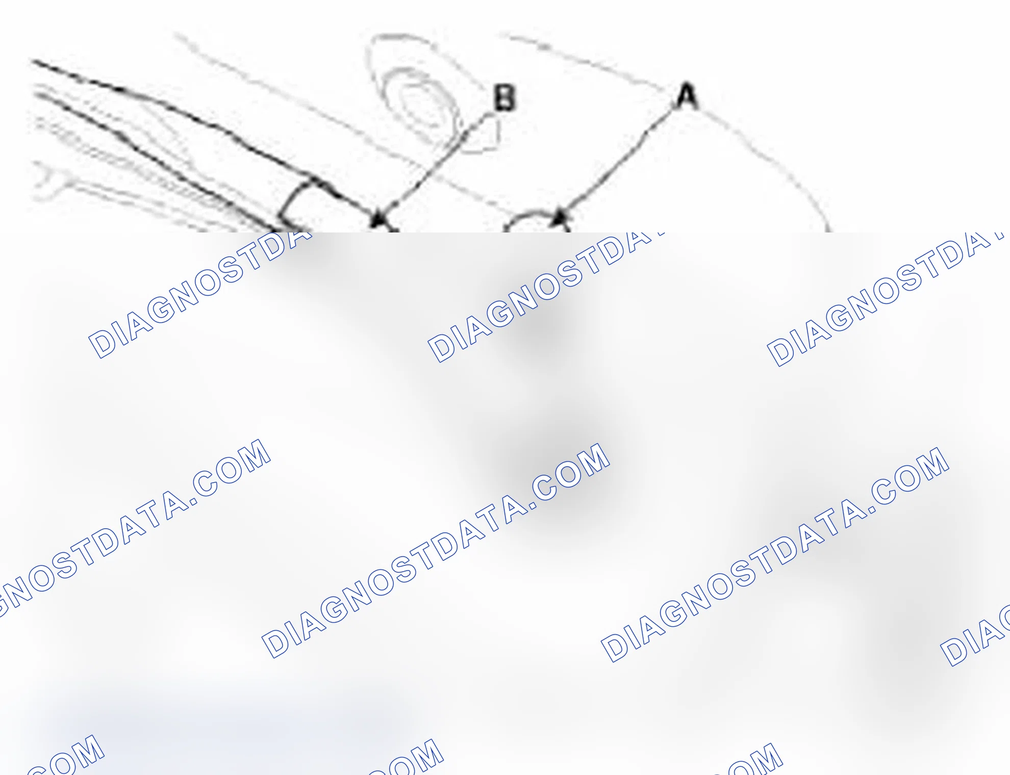 Scheme 10: Removal