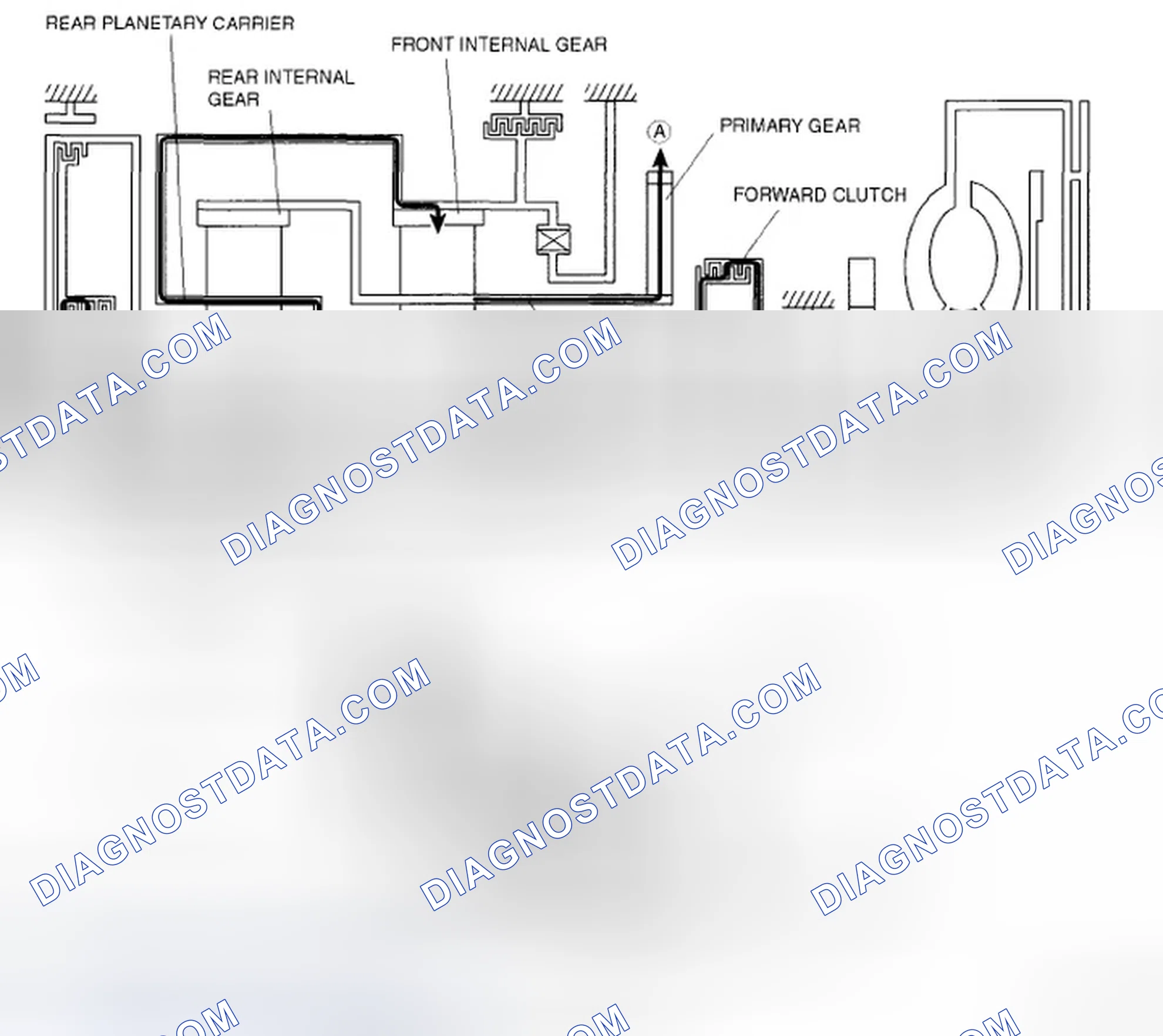 Scheme 519