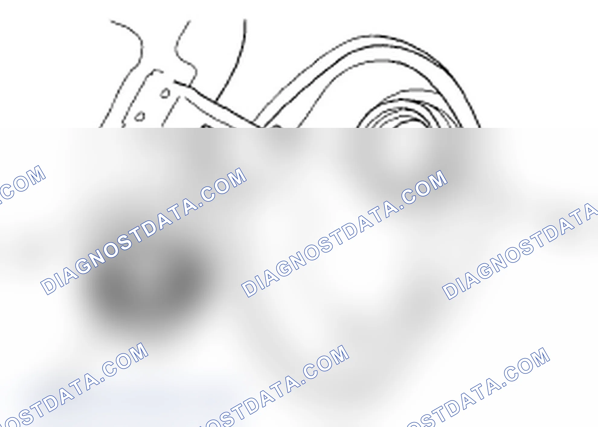 Scheme 47: DTC P0455: EVAP System Large Leak Detected; DTC P0456: EVAP System Very Small Leak Detected