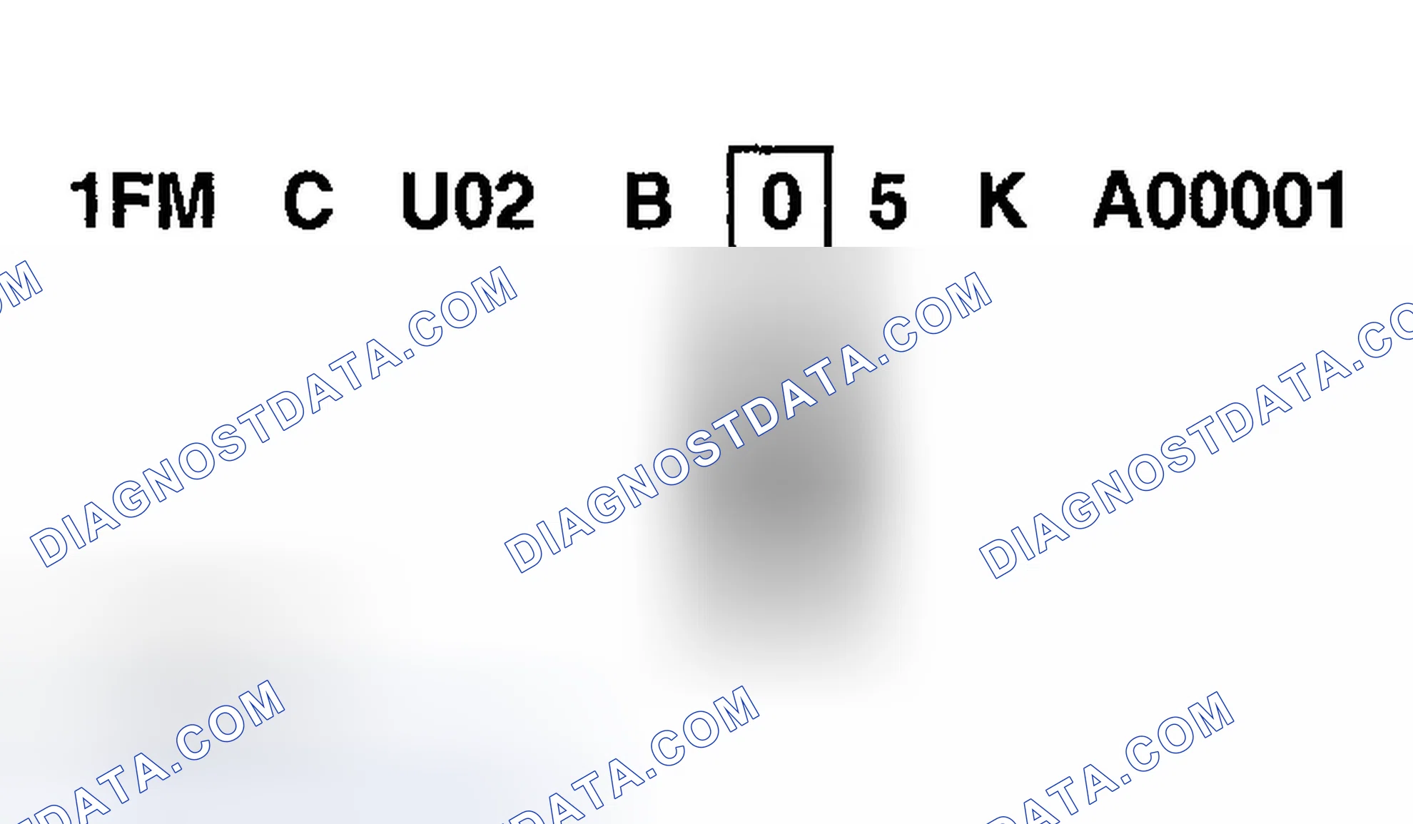 Scheme 6: Check Digit