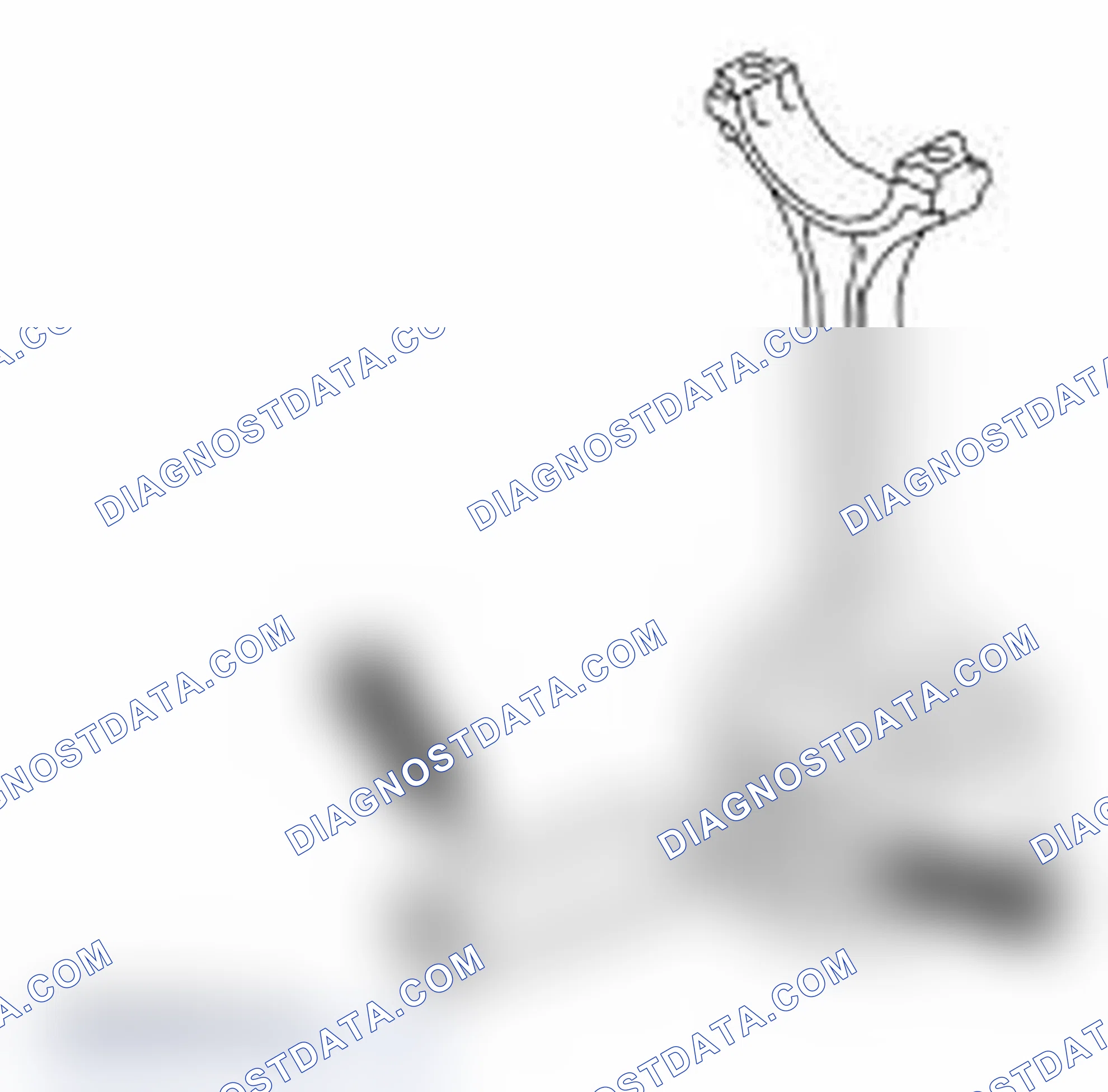 Scheme 223: Assembly