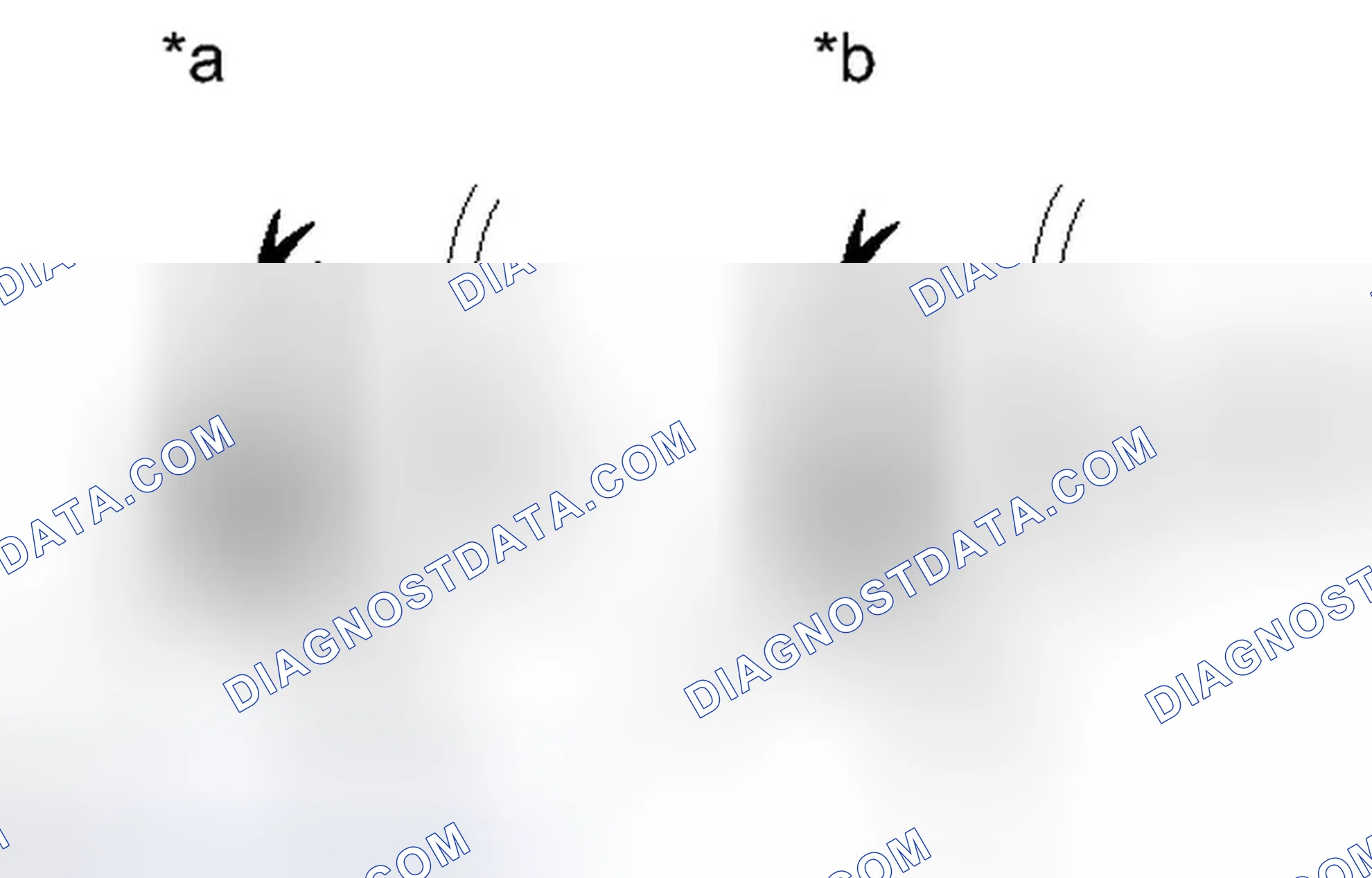 Scheme 526: PROCEDURE