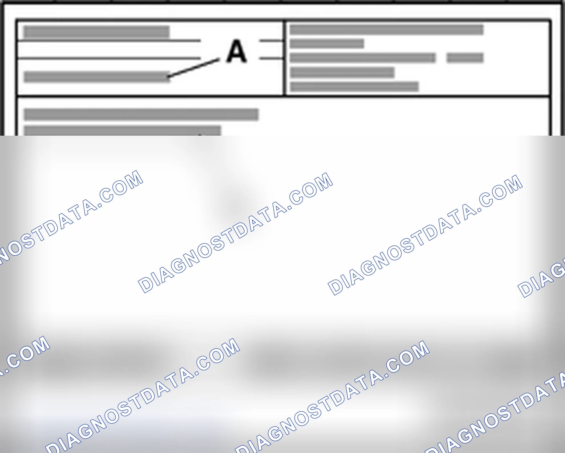 Scheme 461