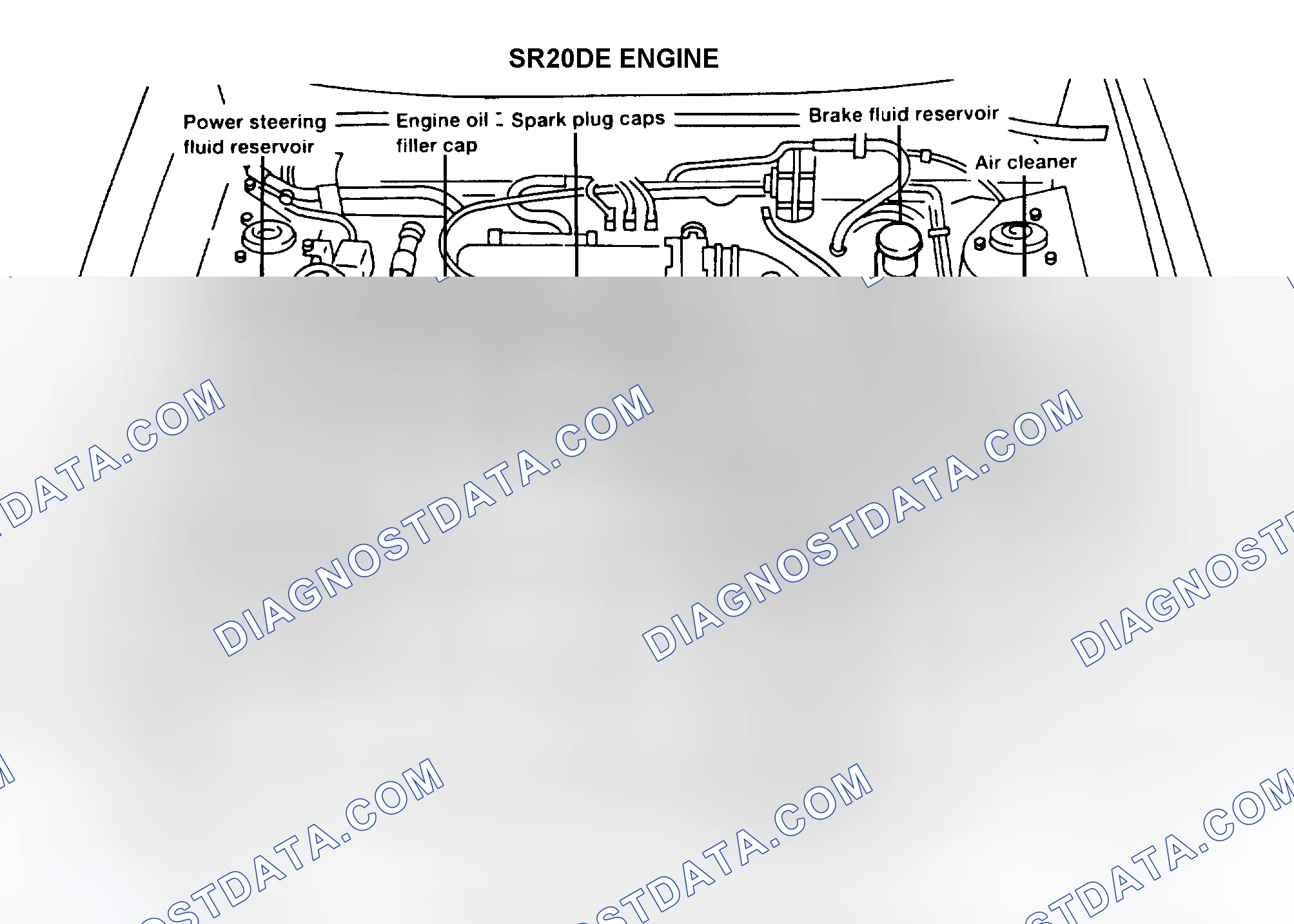 Scheme 3