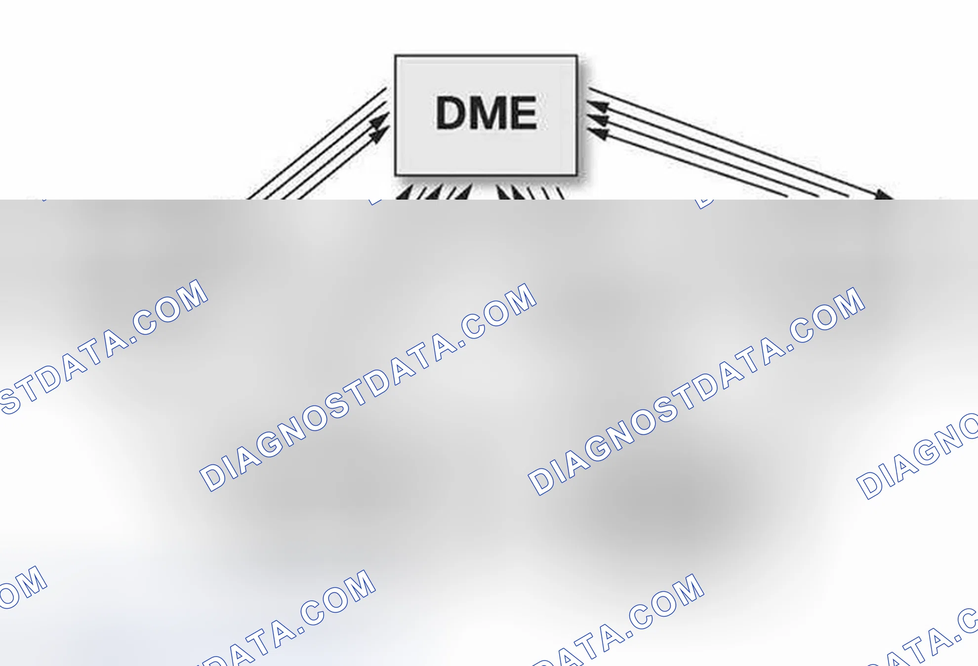Scheme 5