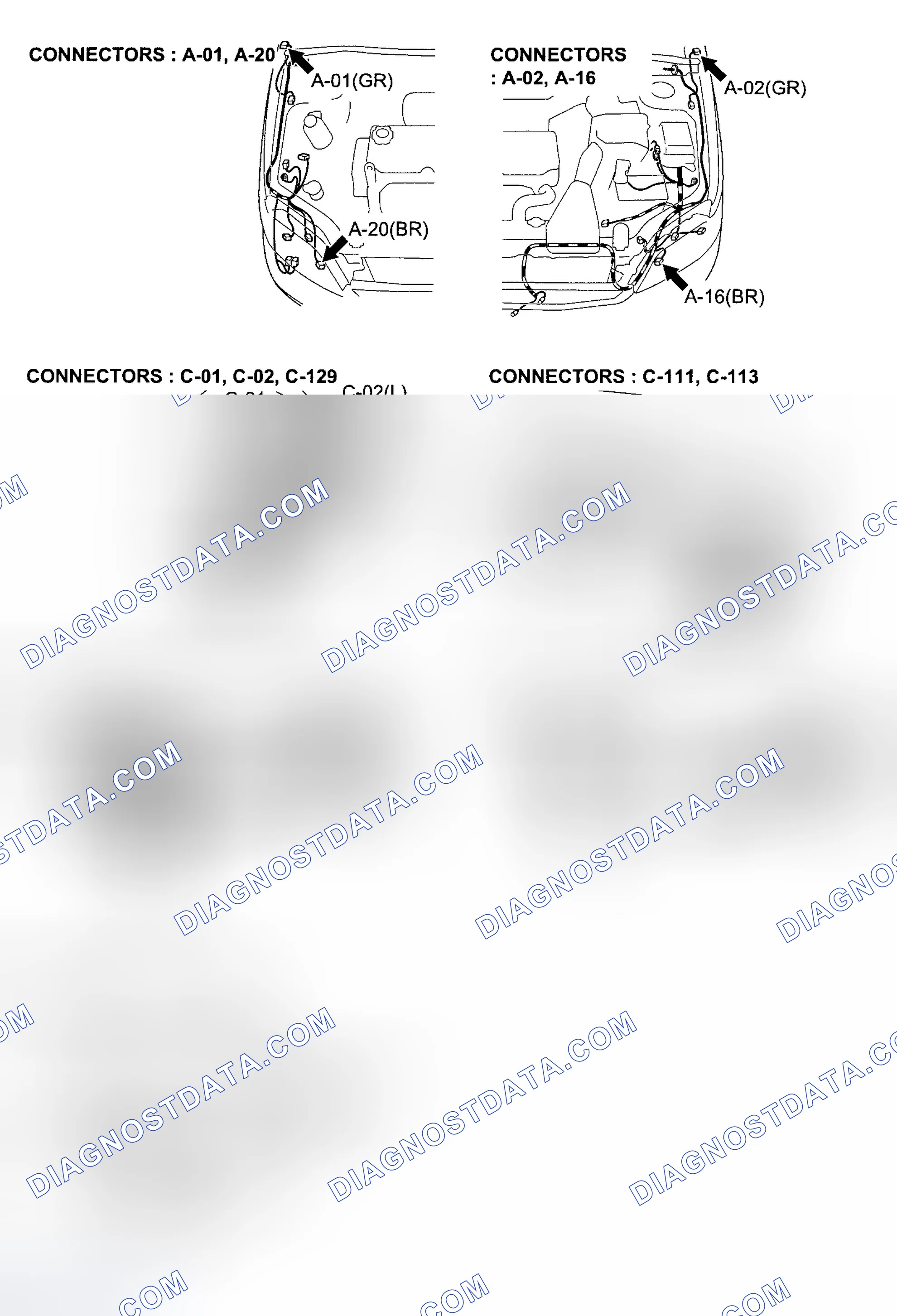 Scheme 259