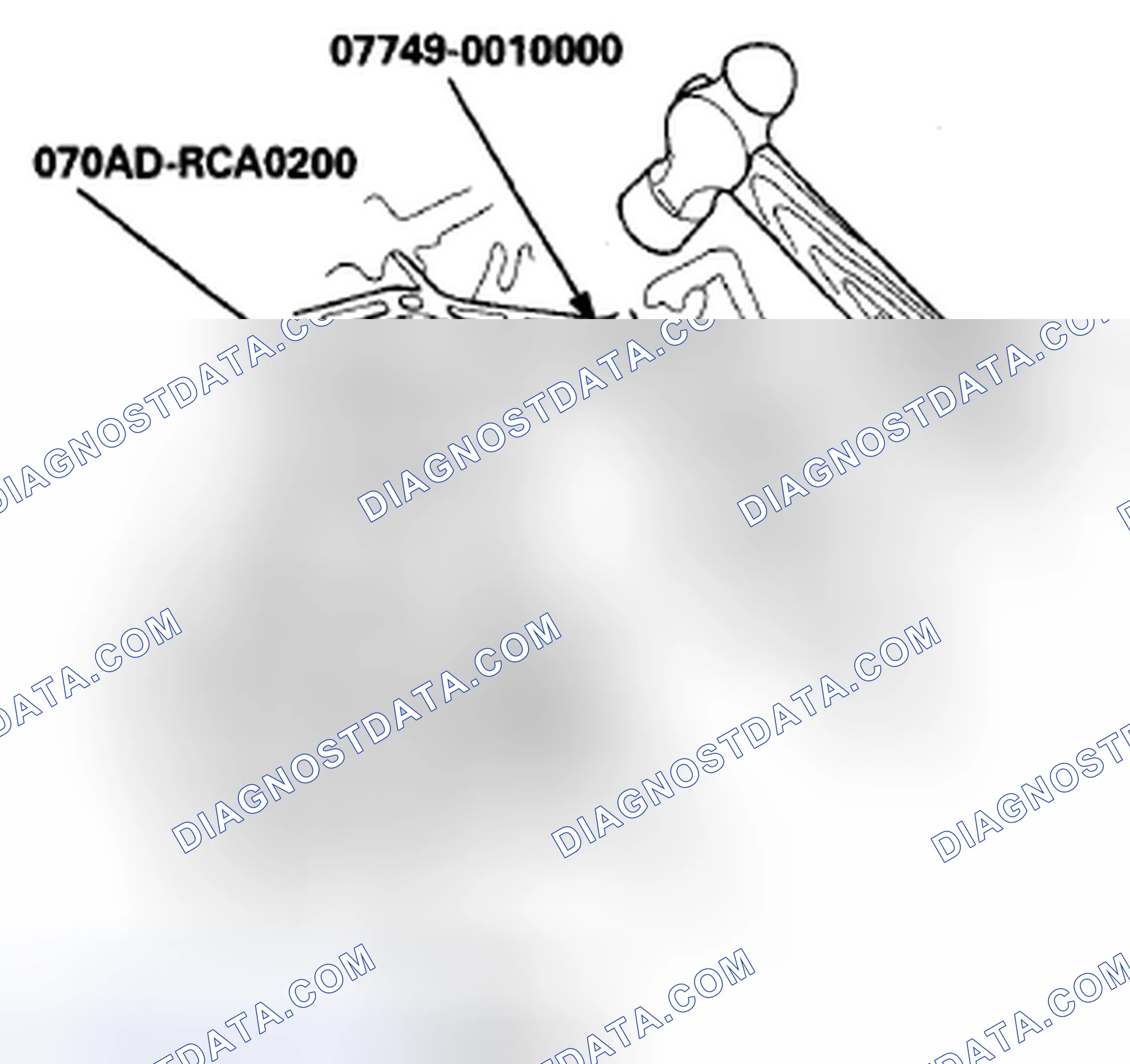 Scheme 546