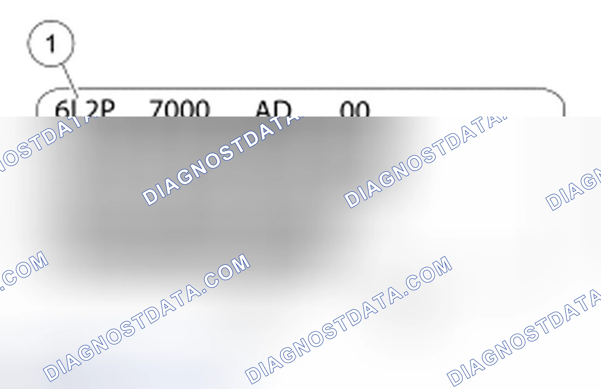Scheme 3: Identification Tags