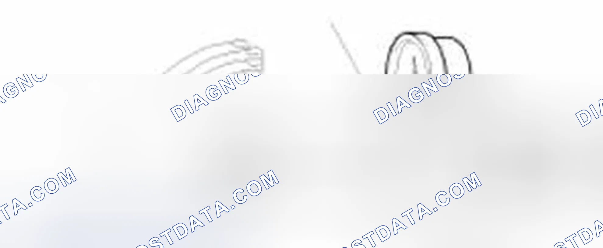 Scheme 30: Radiator Cap Testing