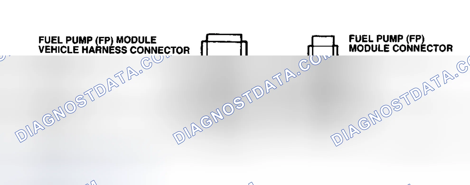 Scheme 50: Fuel Pump Module Circuits & Connector Terminals