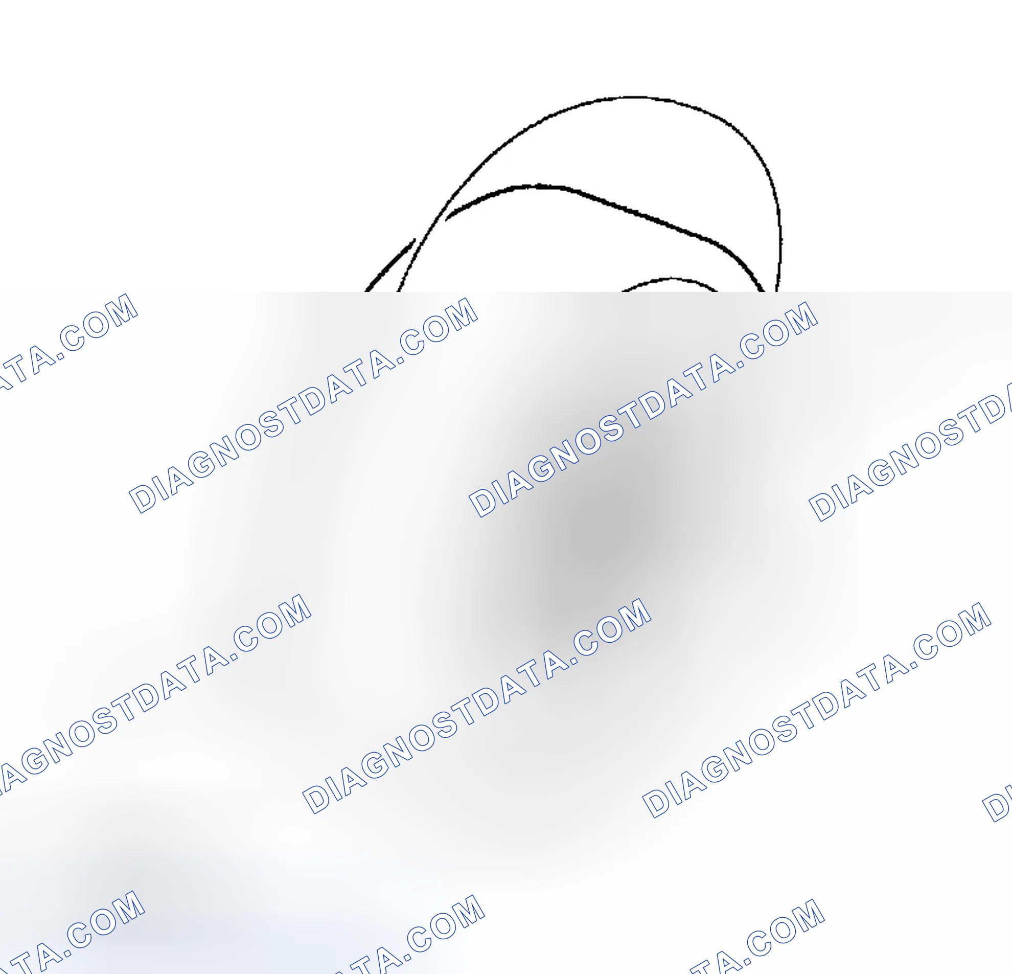 Scheme 15: TIGHTENING WHEEL NUT