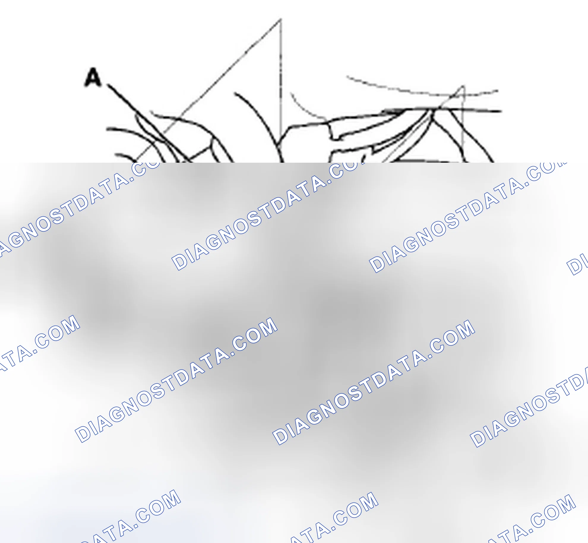 Scheme 596: Fuel Line/Quick-Connect Fitting Precautions