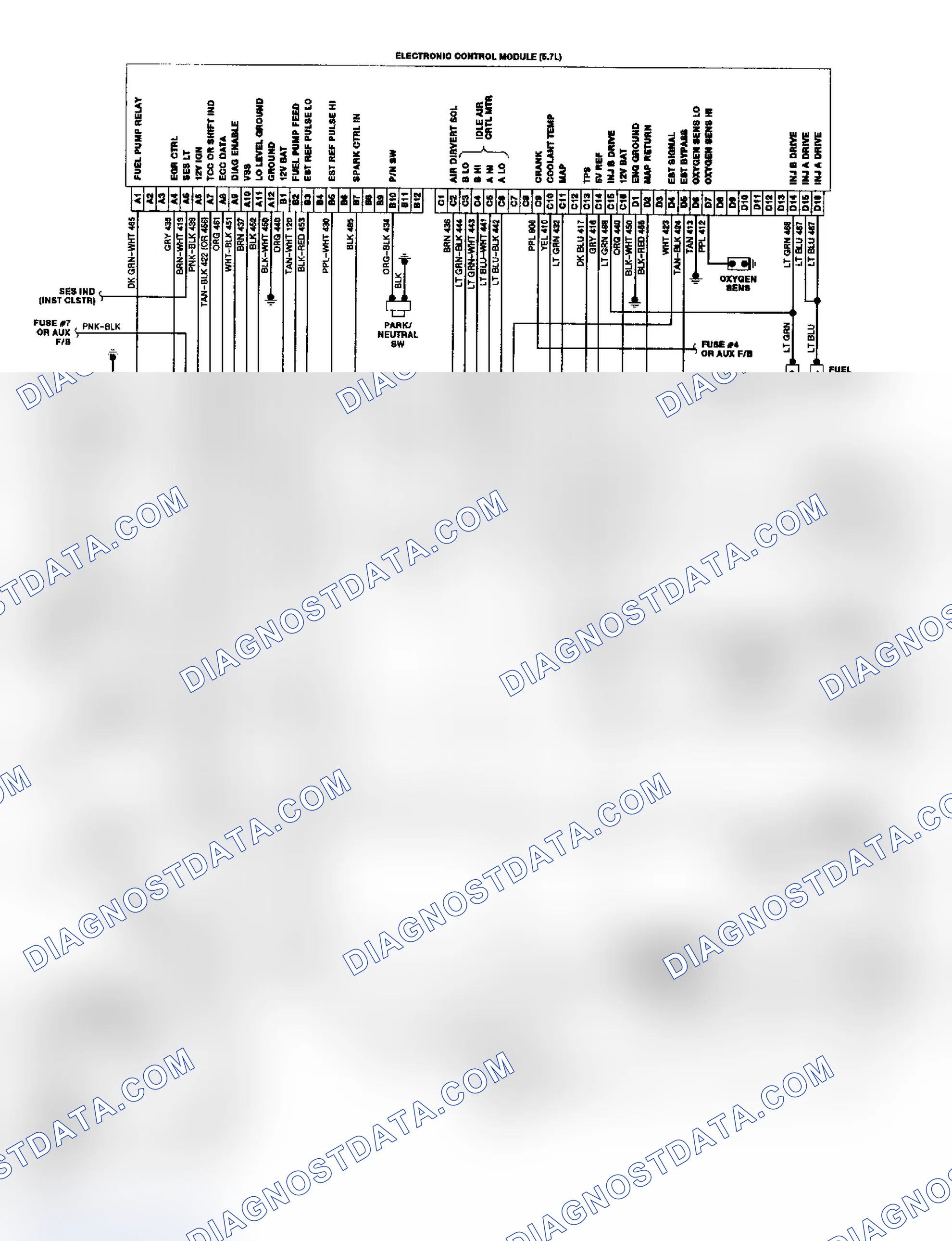 Scheme 19: "P" Series TBI/CCC Wiring Diagram