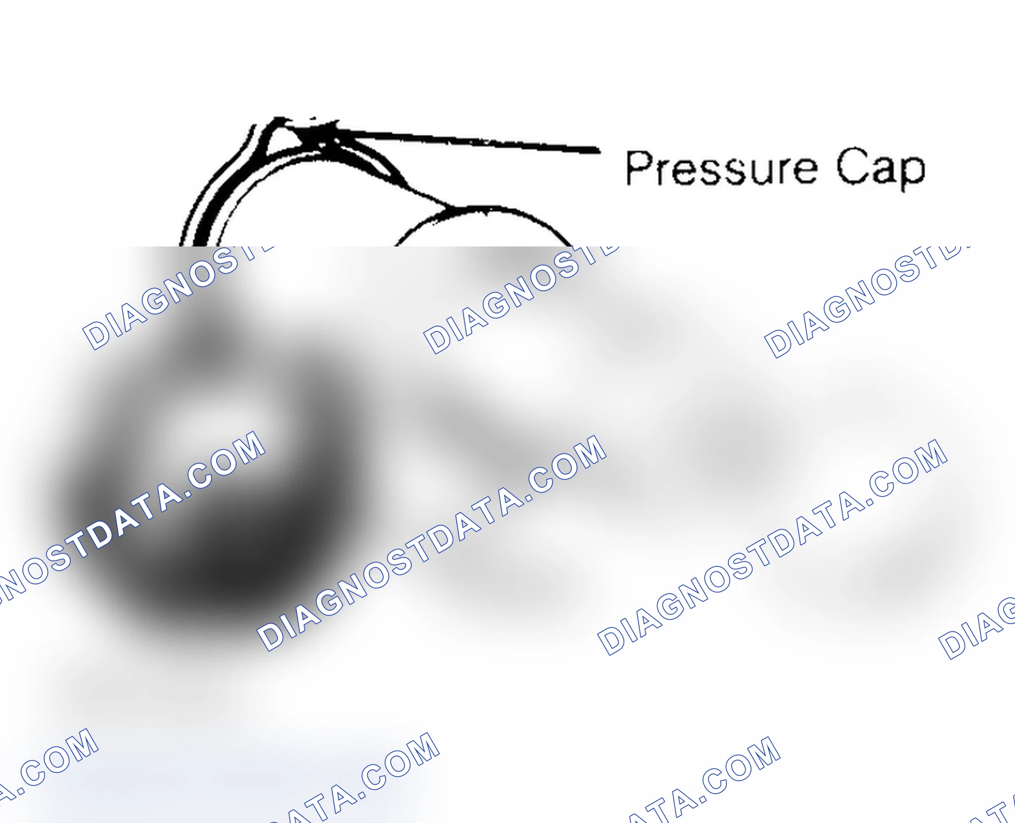 Scheme 2: Pressure Testing Radiator Cap