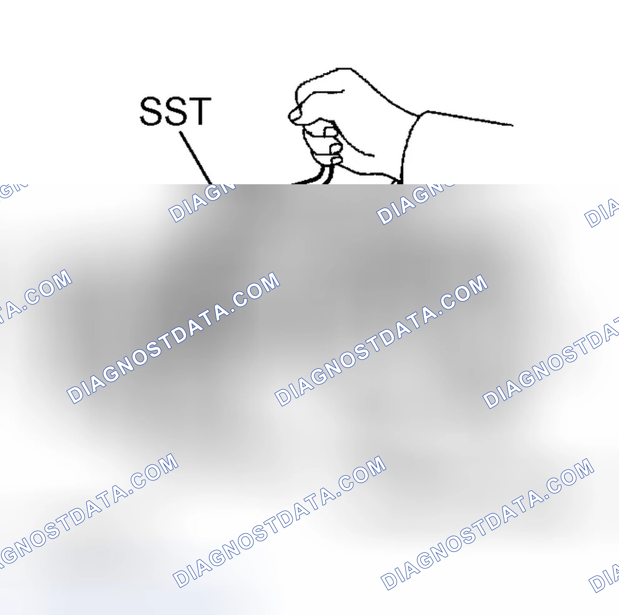 Scheme 368